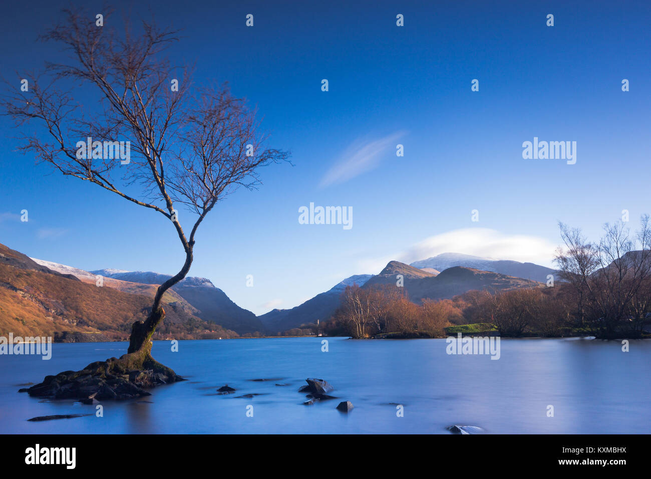 Una lunga esposizione foto diurna di Lone Tree sul Lago di Padarn, LLanberis, Wales, Regno Unito Foto Stock