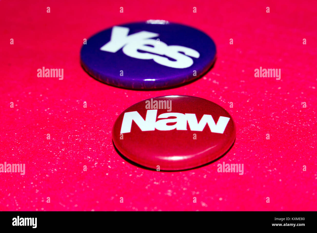 Naw e sì badges per 2014's scozzese referendum di indipendenza Foto Stock