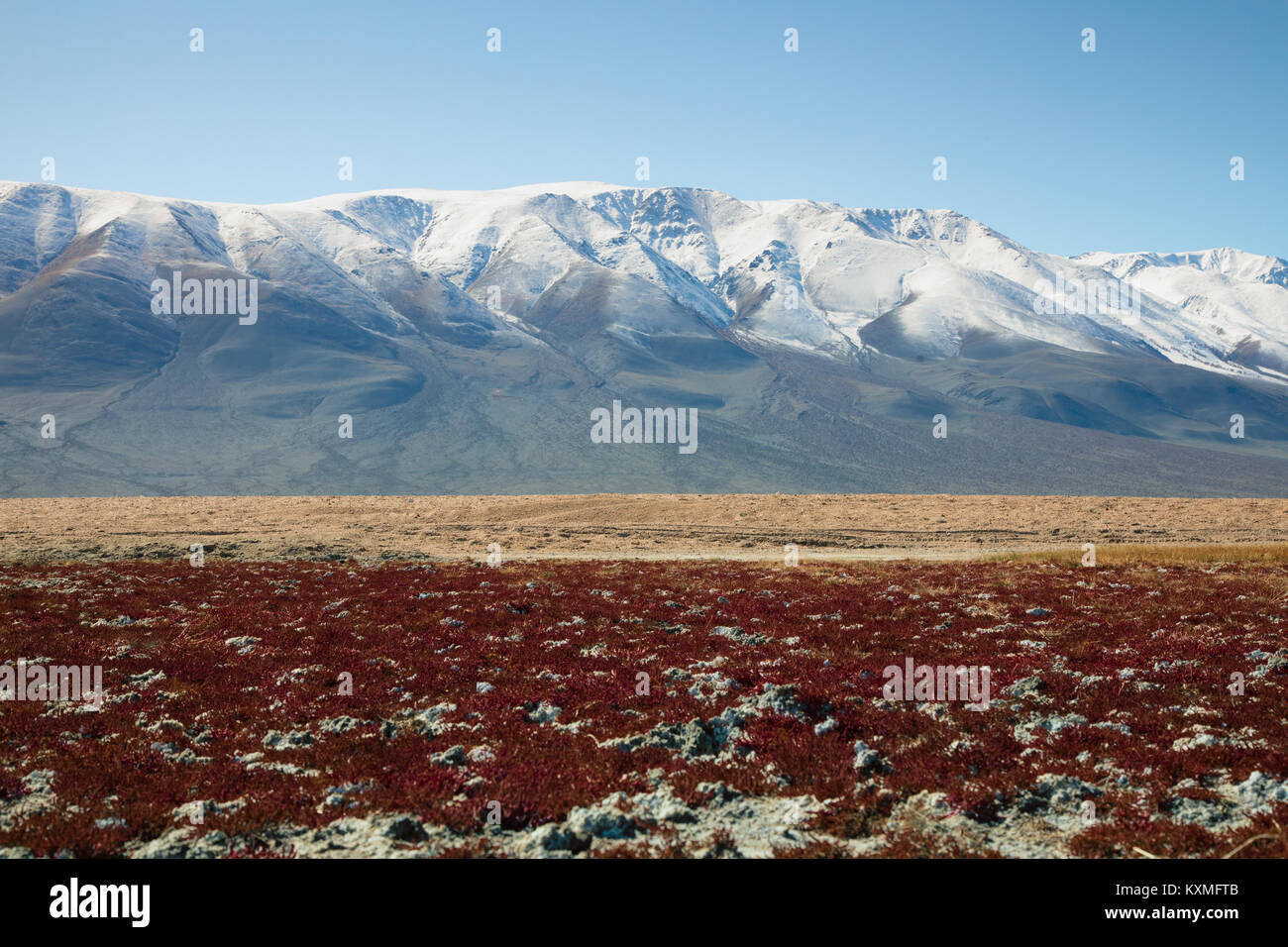 Montagne innevate rosso piante di erba steppe Mongolia praterie Foto Stock