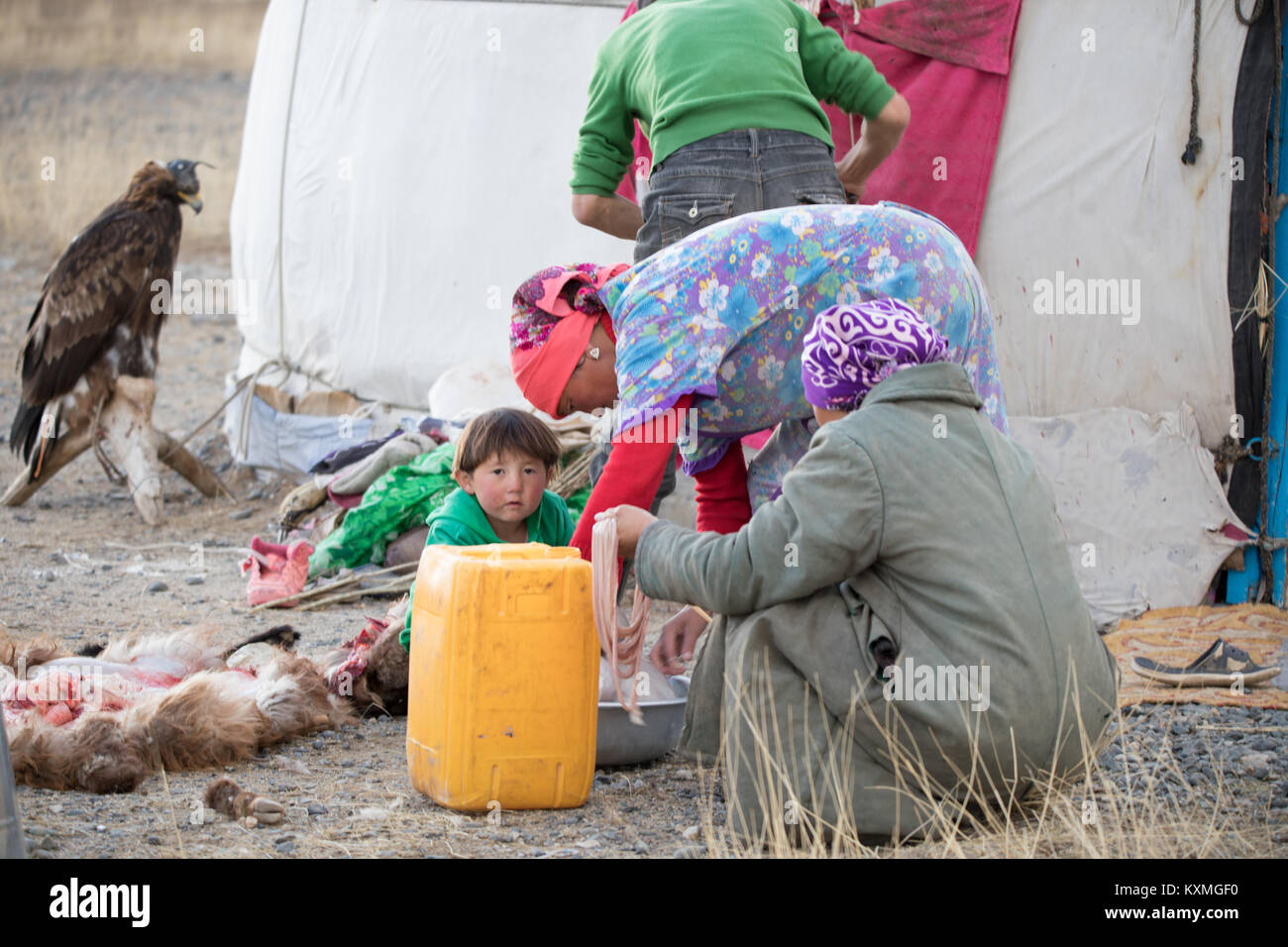 Il mongolo eagle hunter famiglia macellazione carne di pecora Mongolia ger Foto Stock