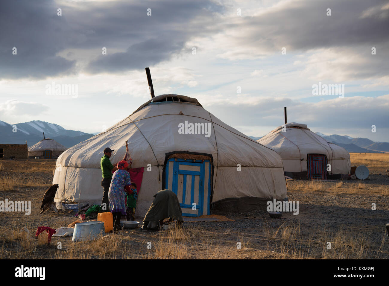 Il mongolo eagle hunter famiglia macellazione carne di pecora Mongolia ger Foto Stock