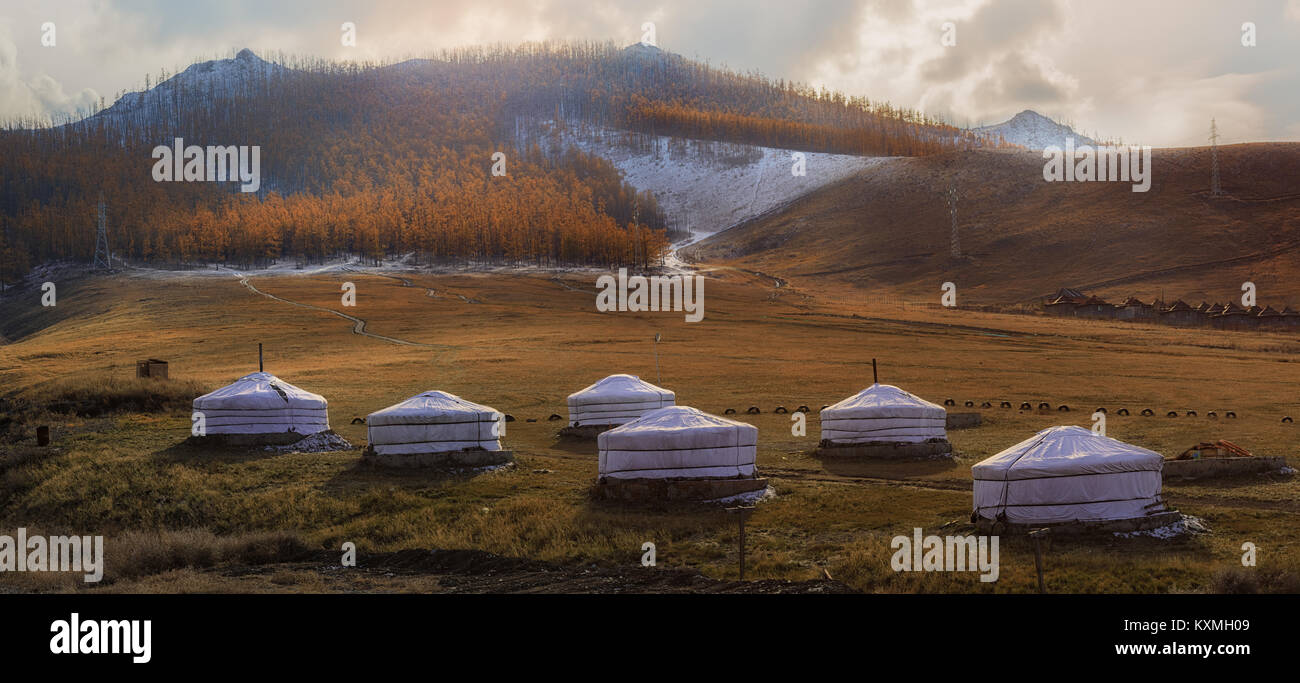 Mongolia Ulan Bator Ulaanbaatar ger camp tramonto alberi praterie Foto Stock