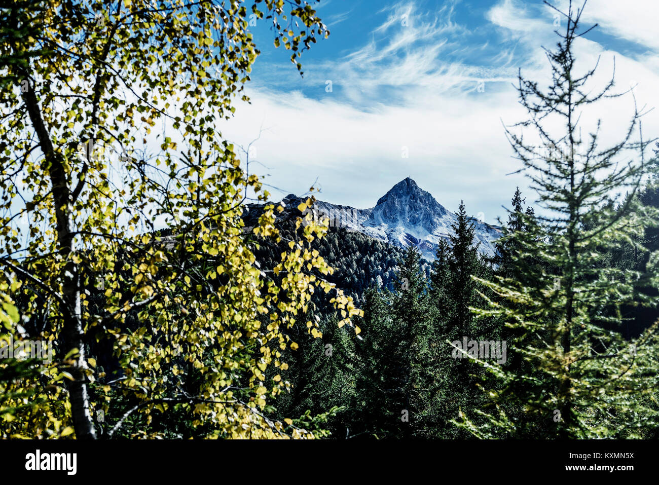 Vista panoramica delle montagne innevate attraverso gli alberi,Corno,Trentino-Alto Adige,l'Italia,l'Europa Foto Stock