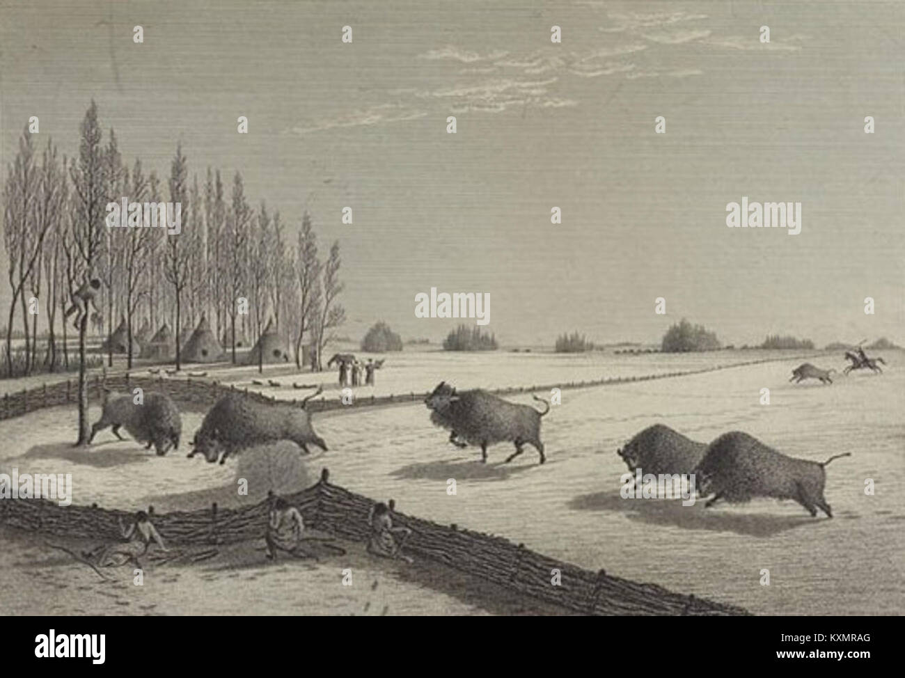 Indietro - Buffalo Pound (1820) Foto Stock