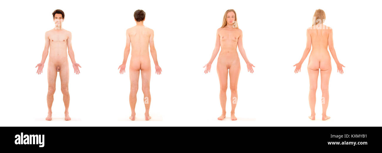 Questo riferimento anatomico illustra le strutture superficiali del corpo umano, raffigurando sia l'anatomia maschile che quella femminile a fini educativi e medici. Foto Stock