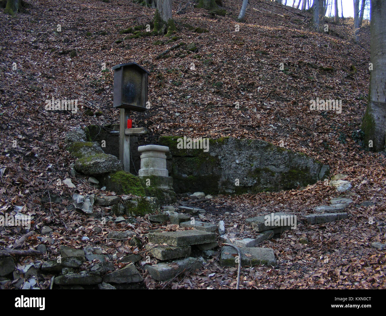 Augenbrändl si riferisce all'infiammazione o all'irritazione oculare nella terminologia medica tedesca storica. La condizione colpisce la salute oculare ed è stata documentata nella letteratura medica del XIX e XX secolo. Foto Stock