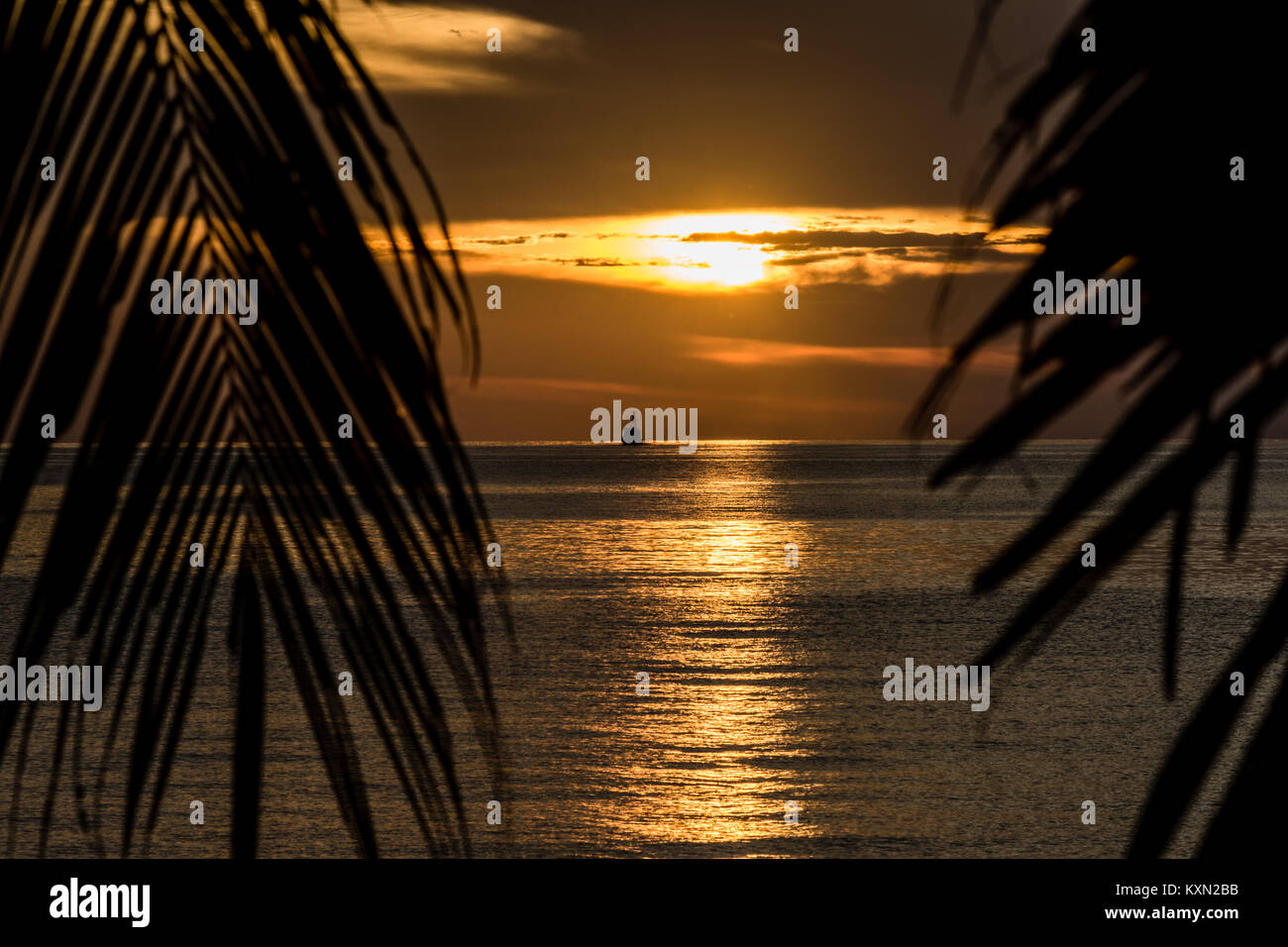 Barca da pesca all'orizzonte sul mare calmo al tramonto incorniciato da palme. Foto Stock