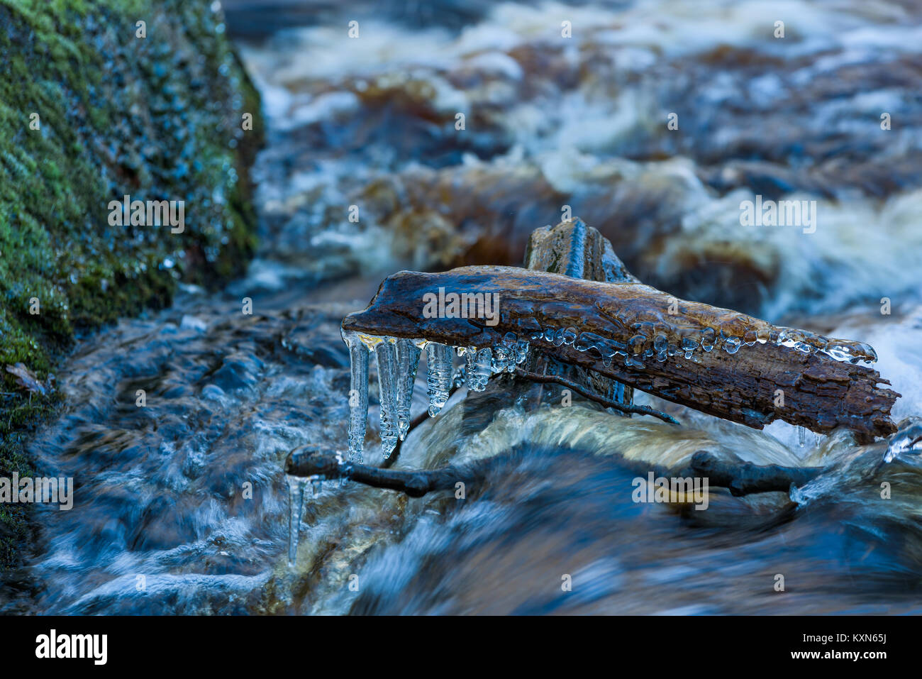 Pezzo di legno bloccato detriti accanto al fiume impetuoso. Ghiaccioli appeso al legno. Il fiume Braknean nella Svezia meridionale. Foto Stock