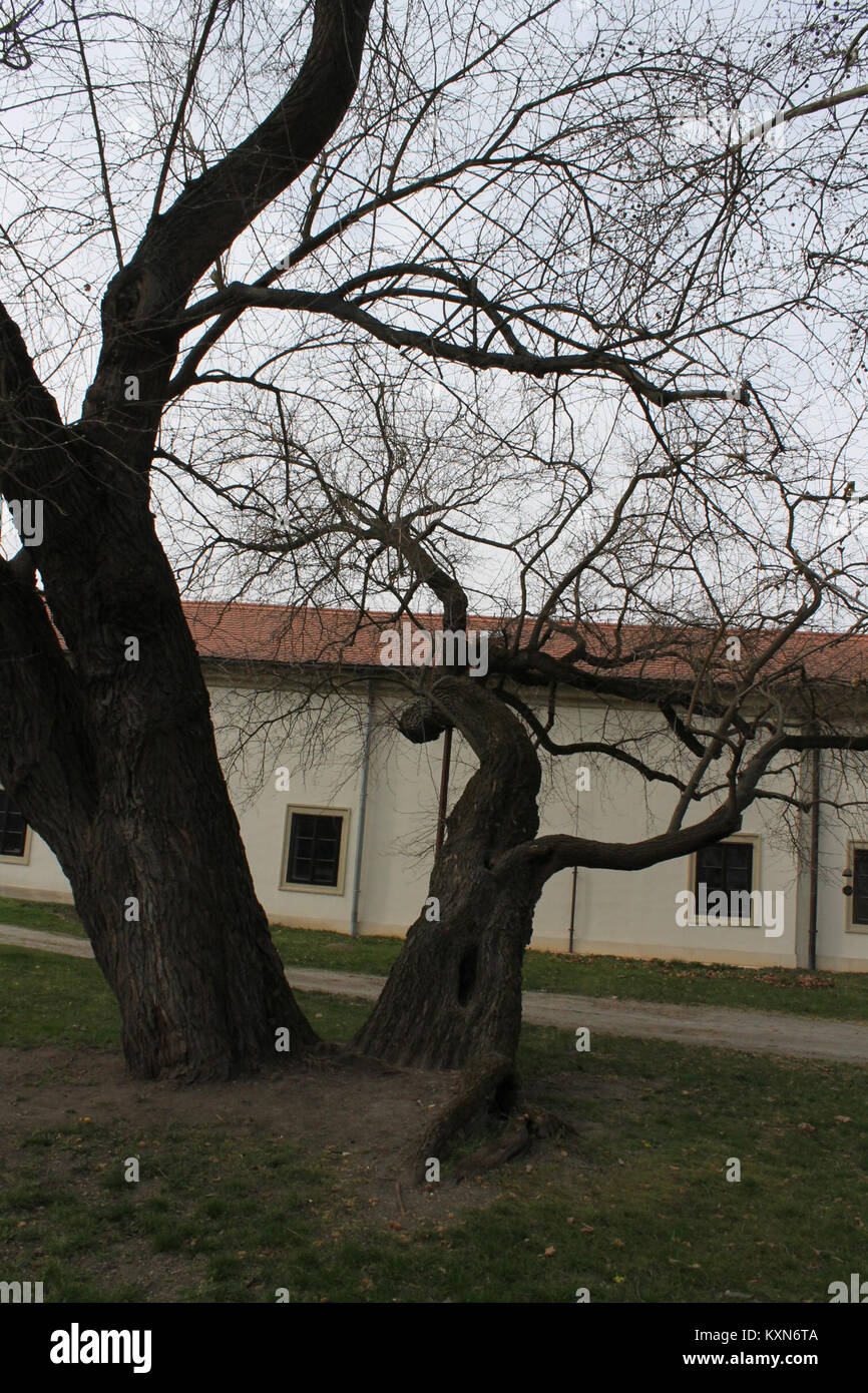 Un complesso monastico benedettino di notevole valore storico e architettonico, che funge da centro di devozione religiosa e conservazione culturale nel corso dei secoli. Foto Stock