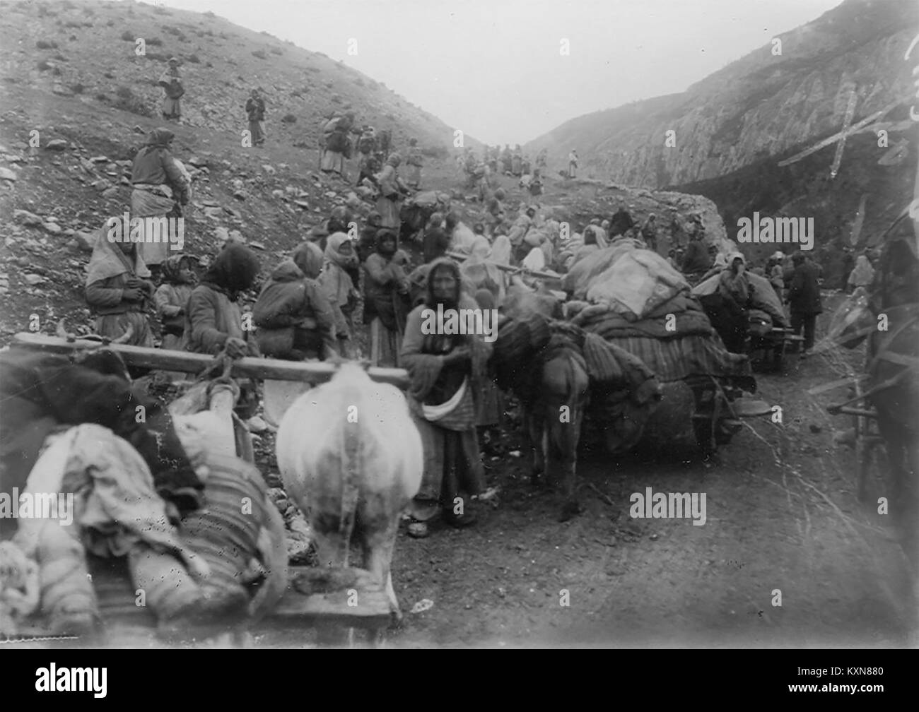 Il resoconto storico di Victor Pietschmann sulle deportazioni armene a Erzurum fornisce uno sguardo completo sugli eventi e sull'impatto umano delle deportazioni durante un periodo oscuro della storia. Foto Stock