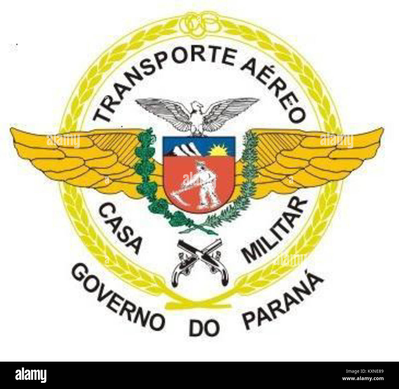 Lo stemma della sezione trasporto aereo, un simbolo che rappresenta la divisione aviazione. Esso riflette il significato operativo del trasporto aereo nelle operazioni militari o organizzative. Foto Stock