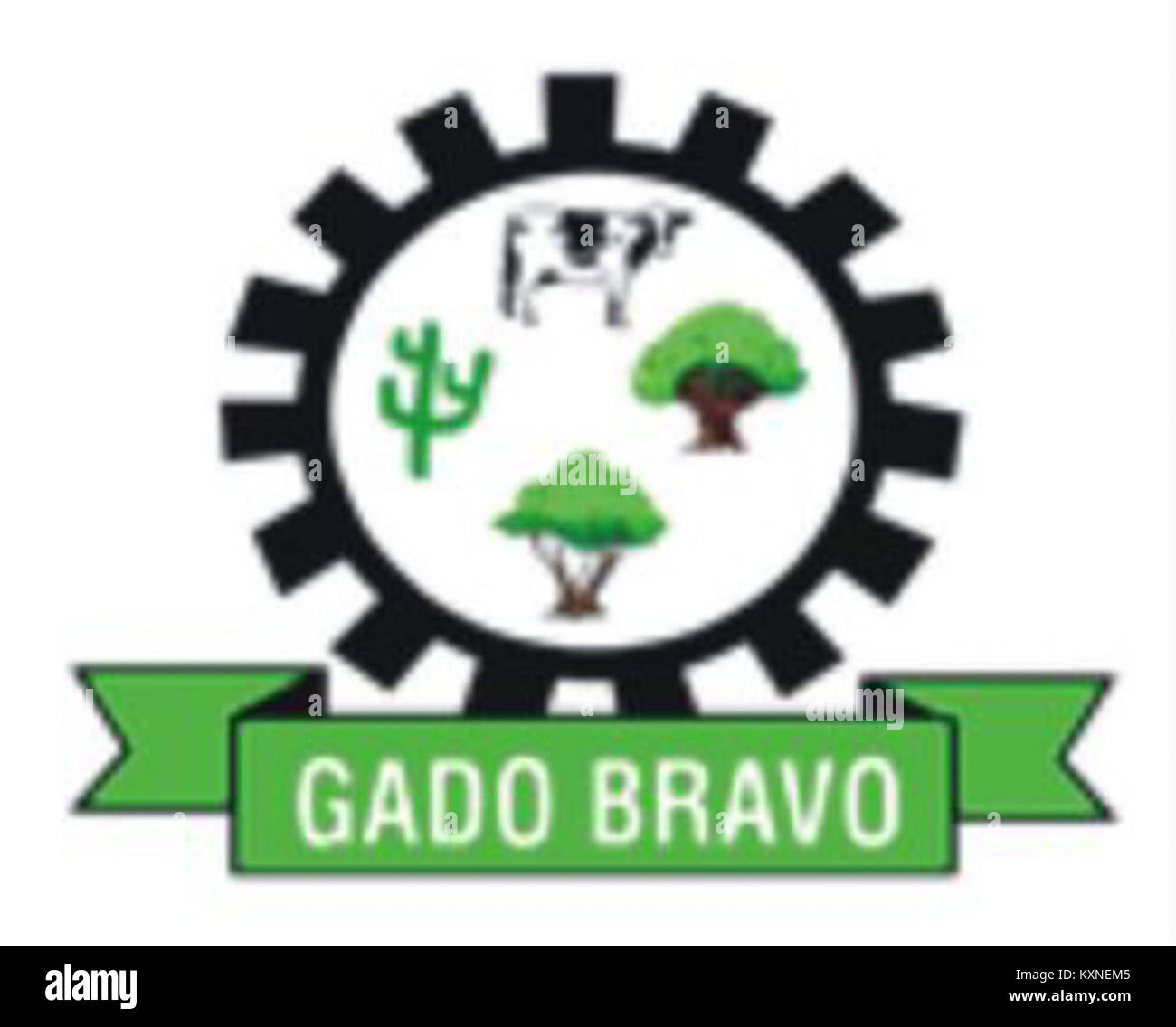 Brasíl Gado Bravo è un comune brasiliano situato nella città di Paraíba, noto per i suoi paesaggi rurali e le sue attività agricole. L'area è un centro per l'allevamento del bestiame, che riflette l'economia locale e le pratiche culturali legate all'agricoltura nella regione. Foto Stock