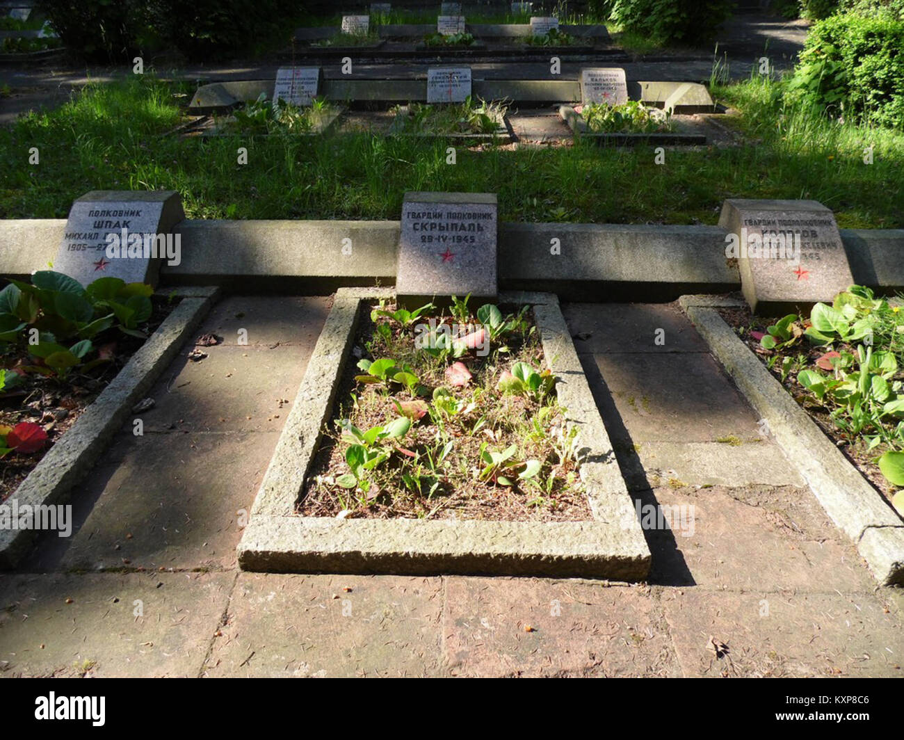 Piastra in ceramica di Bolesławiec, Polonia, con motivo AB. 067—un design di bacche rosse e punti blu con una fascia. Prodotto da Zakłady Ceramiczne Bolesławiec, noto per il gres dipinto a mano di alta qualità. Questo pezzo esemplifica l'artigianato della ceramica della regione. Foto Stock
