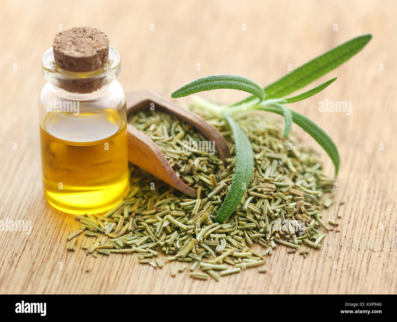 Fresche biologiche con rosmarino olio essenziale sulla superficie naturale Foto Stock