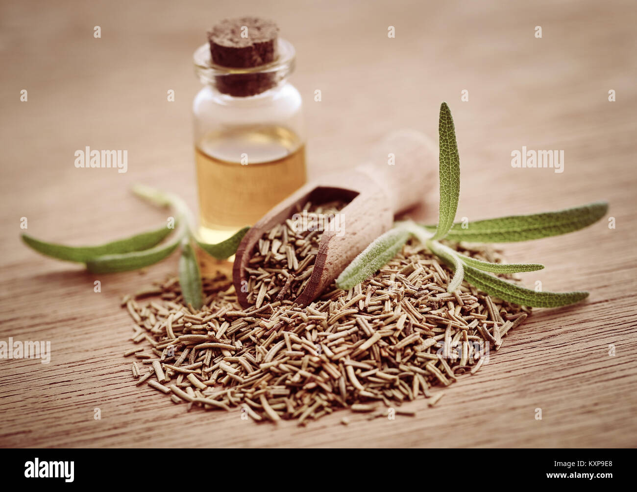 Fresche biologiche con rosmarino olio essenziale sulla superficie naturale Foto Stock