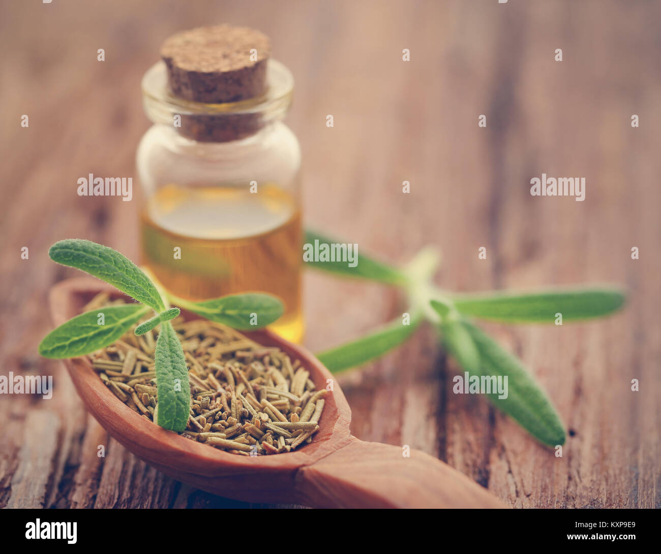 Fresche biologiche con rosmarino olio essenziale sulla superficie naturale Foto Stock
