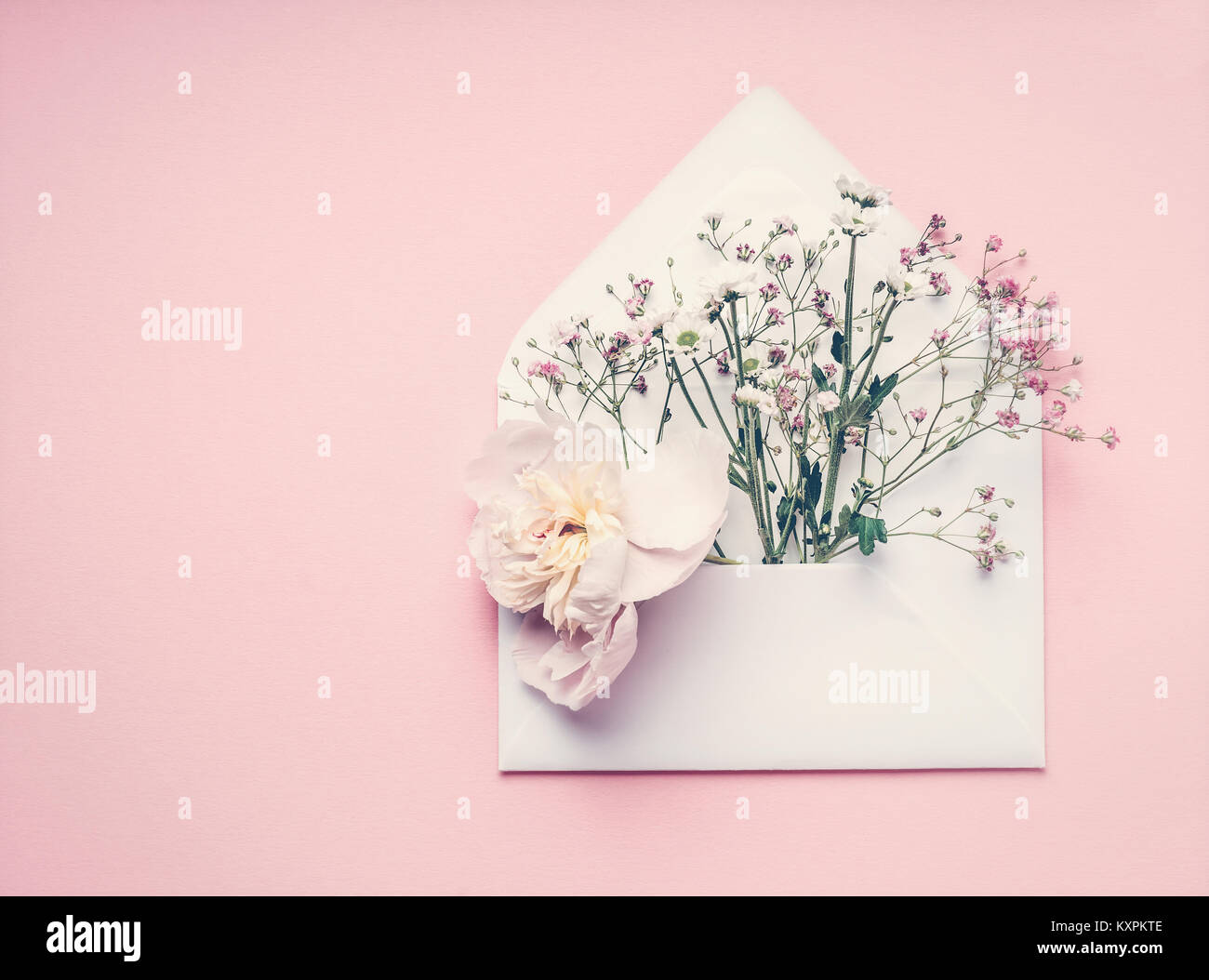 Aperto avvolgono con disposizione dei fiori sul rosa pastello sfondo, vista dall'alto, copia dello spazio. Creative saluto, invito e concetto di vacanza Foto Stock