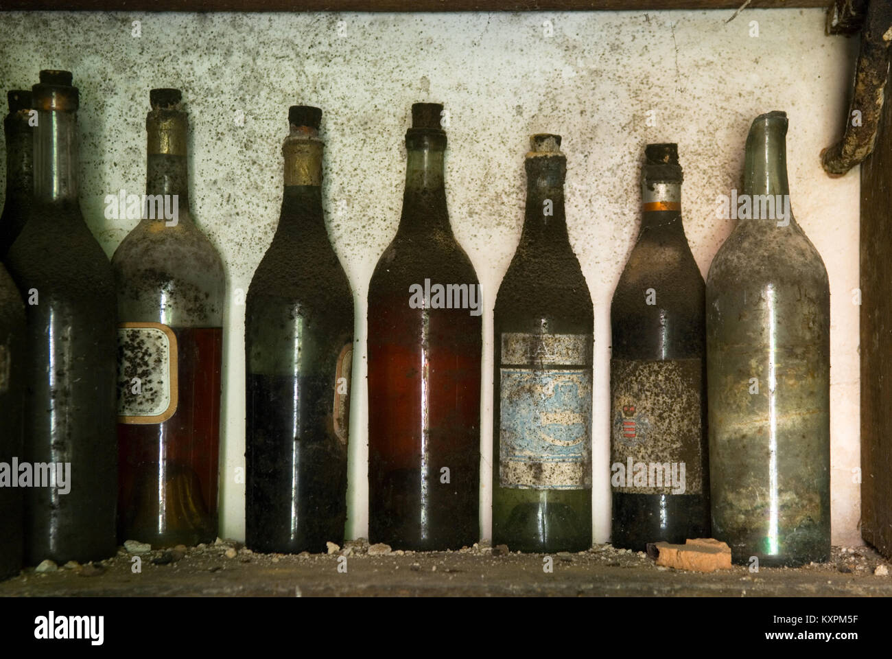Una vista di otto bottiglie di diversi tipi di alcole in una cantina che è rimasta intatta per molti decenni nel sud della Francia Foto Stock