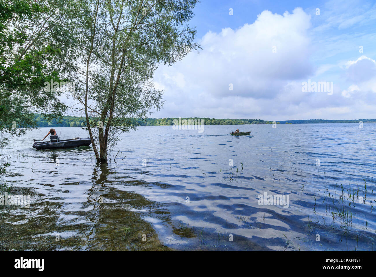 Francia, Aube (10), Champagne, Parc naturel régional de la Forêt d'Orient, lac du Temple // Francia Aube, Champagne, Orient Foresta Naturale regionale par Foto Stock