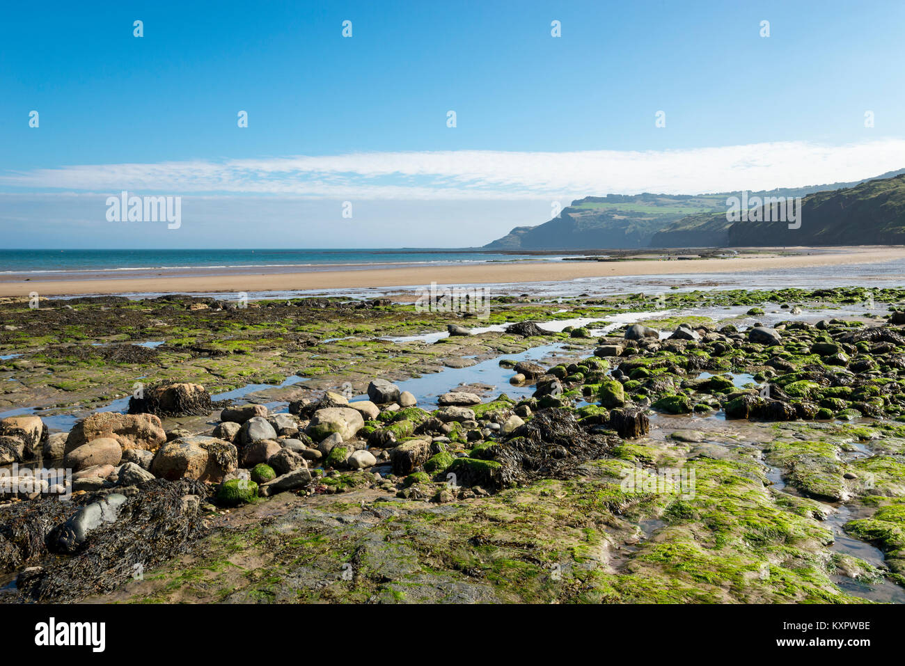 Soleggiato settembre mattina a Robin Hood's Bay sulla costa est del North Yorkshire. Vista di Ravenscar con la bassa marea. Foto Stock