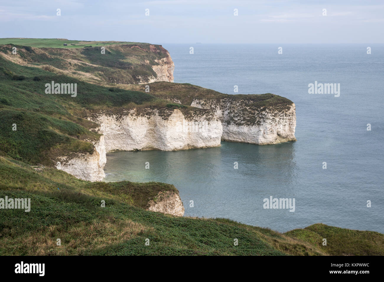 Spettacolare costa di chalk scogliere a Flamborough Head, North Yorkshire, Inghilterra. Foto Stock