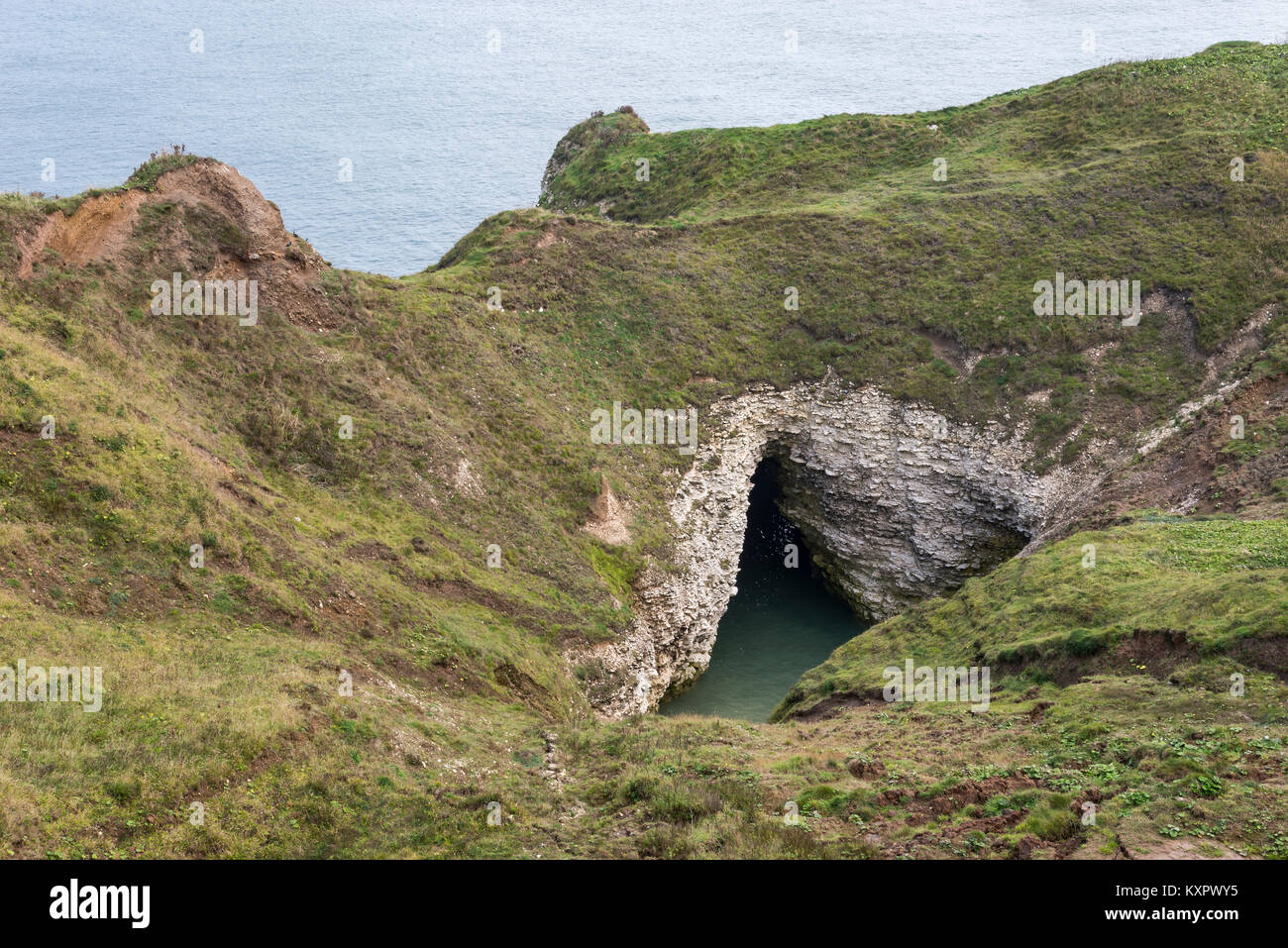 Spettacolare costa di chalk scogliere a Flamborough Head, North Yorkshire, Inghilterra. Foto Stock