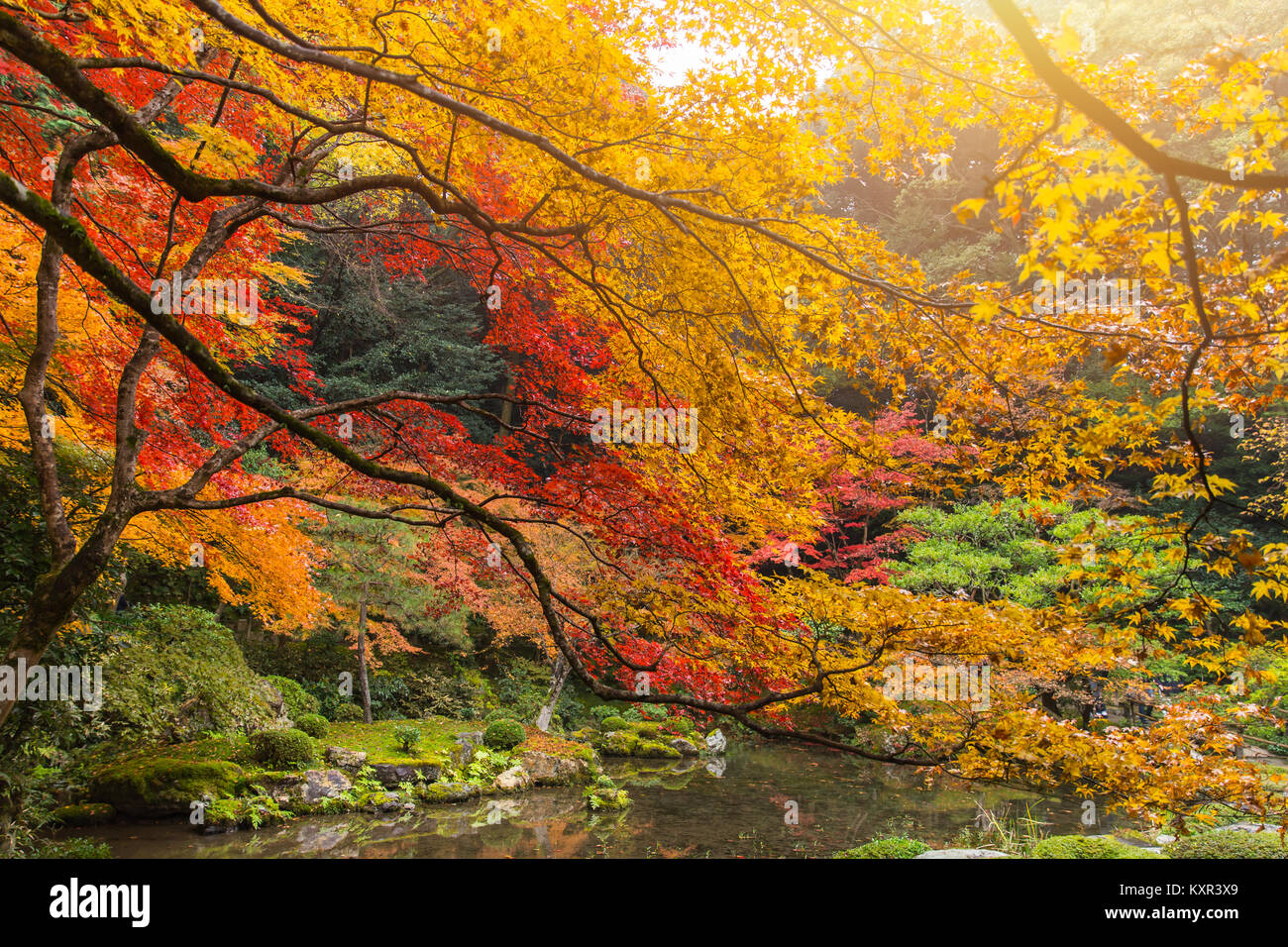 Kyoto Coloful autunnale Stagione Red Maple Leaf Garden a Nanzen-ji Tempio Viaggi di Kansai in Giappone. Foto Stock