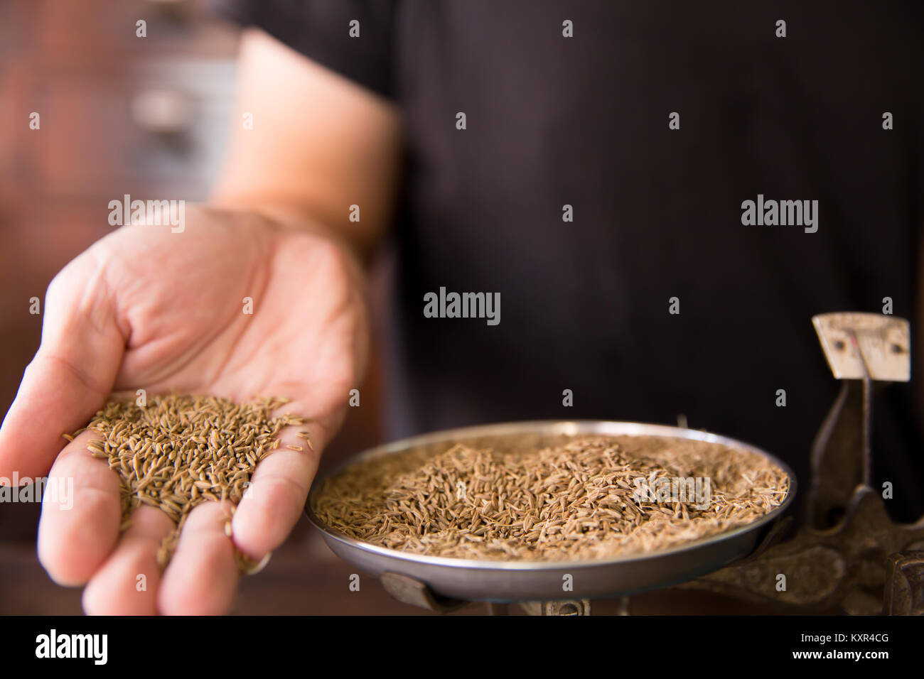 Semi di cumino o di carvi Semi aroma di erbe condimento alimentare in erba sullo sfondo del negozio Foto Stock