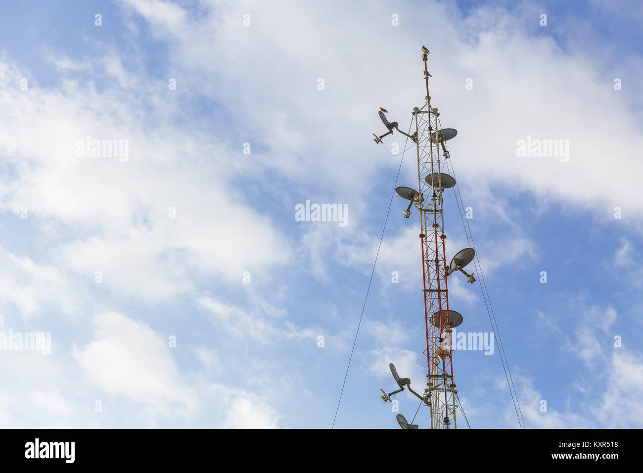 Antenna wireless communication di lungo raggio torre del piatto con cielo blu sullo sfondo Foto Stock