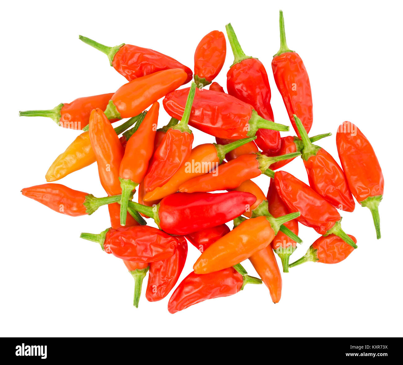 Peperoncino isolato su uno sfondo bianco. Vista dall'alto. Percorso di clipping incluso. Foto Stock