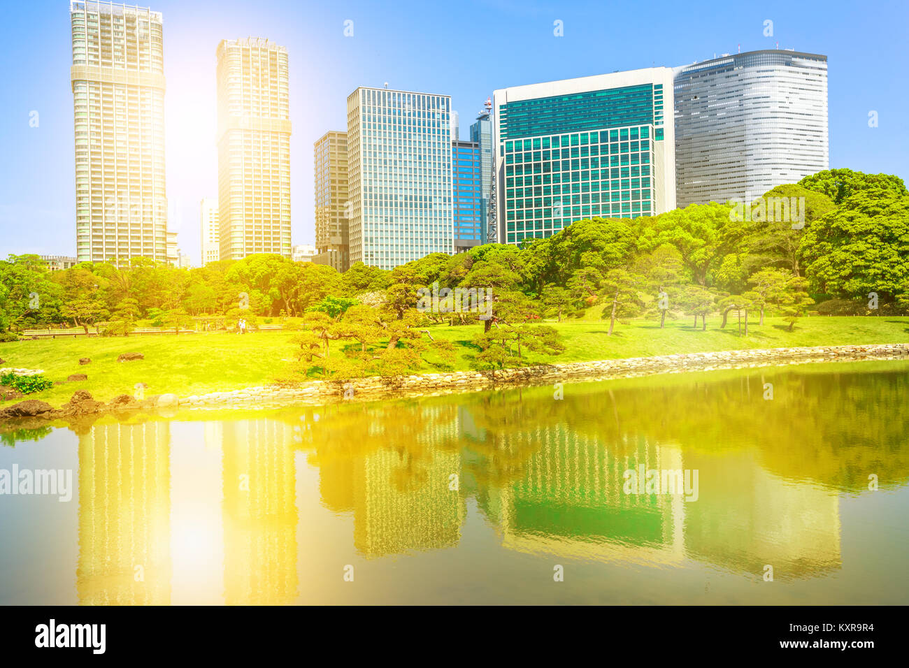 Giardini Hamarikyu Tokyo Foto Stock