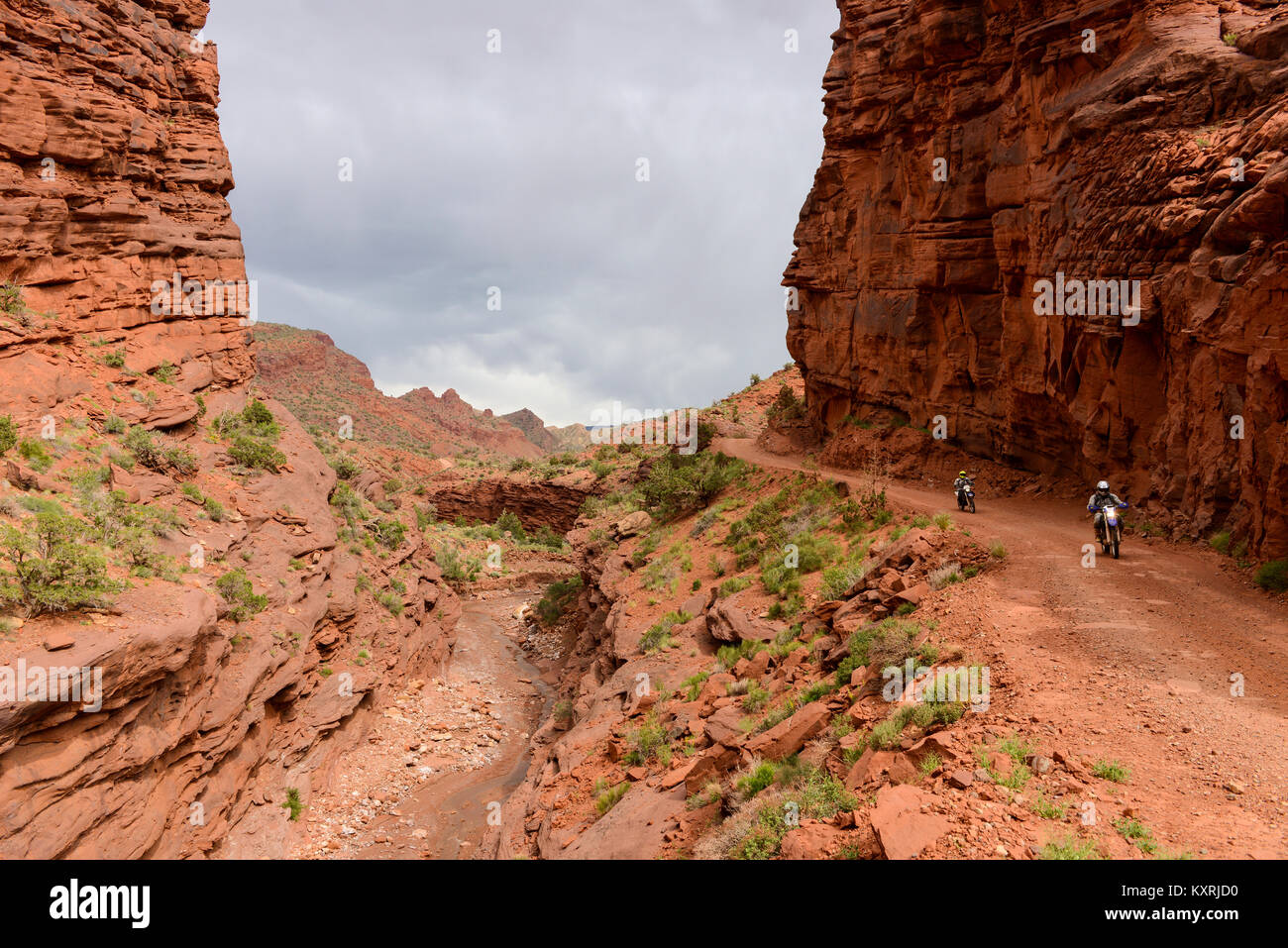 Dirt Bike in rosso Canyon - Bikers stanno godendo il loro sporco-road ride in un ripido canalone nei pressi del fiume Colorado Scenic Byway. Moab, Utah, Stati Uniti d'America. Foto Stock