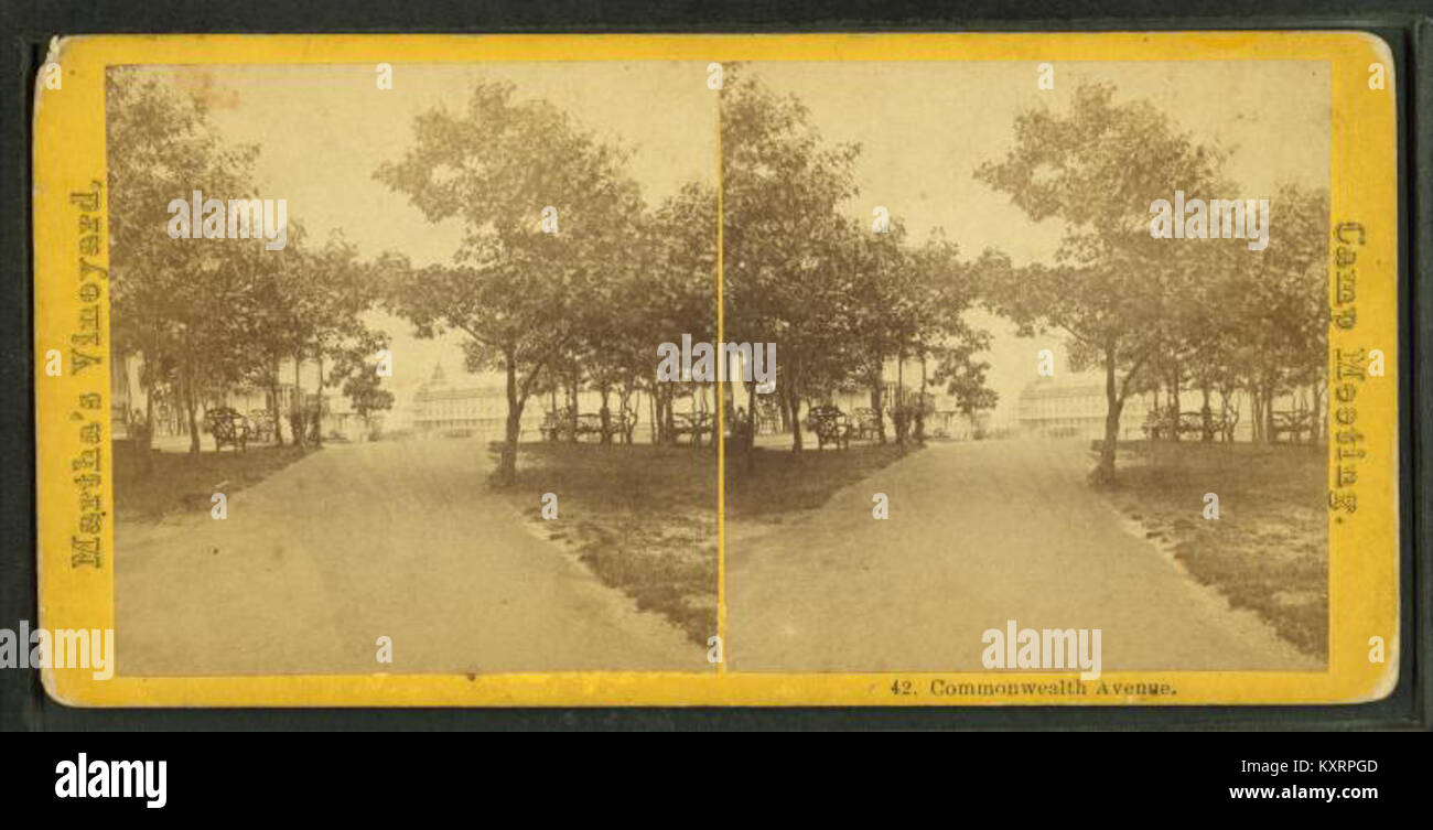 Un'immagine stereoscopica che mostra Commonwealth Avenue, che offre una vista del XIX secolo del paesaggio urbano e dello sviluppo architettonico, evidenziando l'importanza storica della strada. Foto Stock