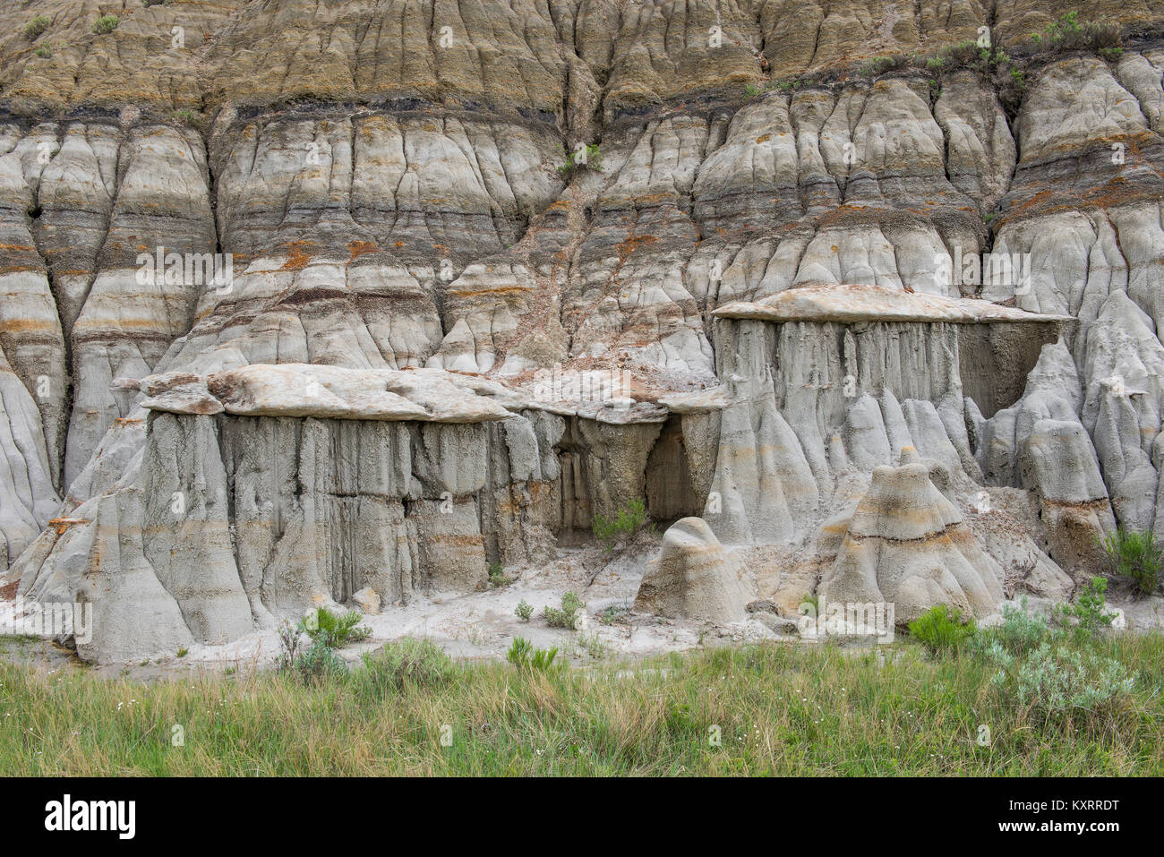 Caratteristiche di erosione, Theodore Roosevelt NP, Nord Dakota, USA, da Bruce Montagne/Dembinsky Foto Assoc Foto Stock