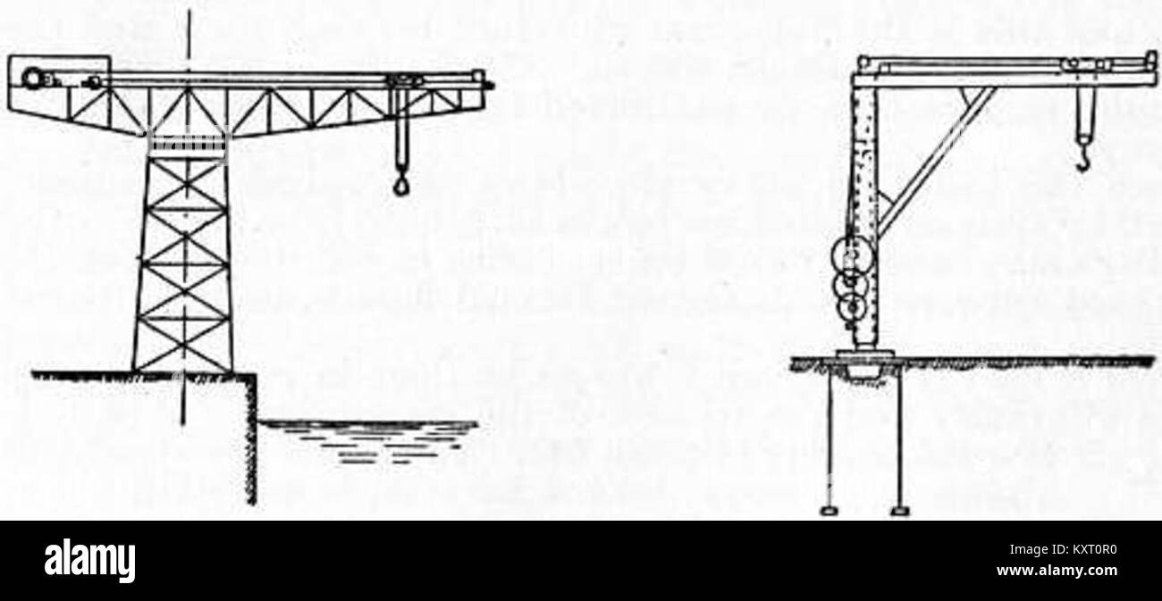 Questa immagine dell'Encyclopedia Britannica del 1911 raffigura gru, grandi uccelli noti per il loro comportamento migratorio e le caratteristiche distintive, inclusi nella sezione ornitologica dell'enciclopedia. Foto Stock