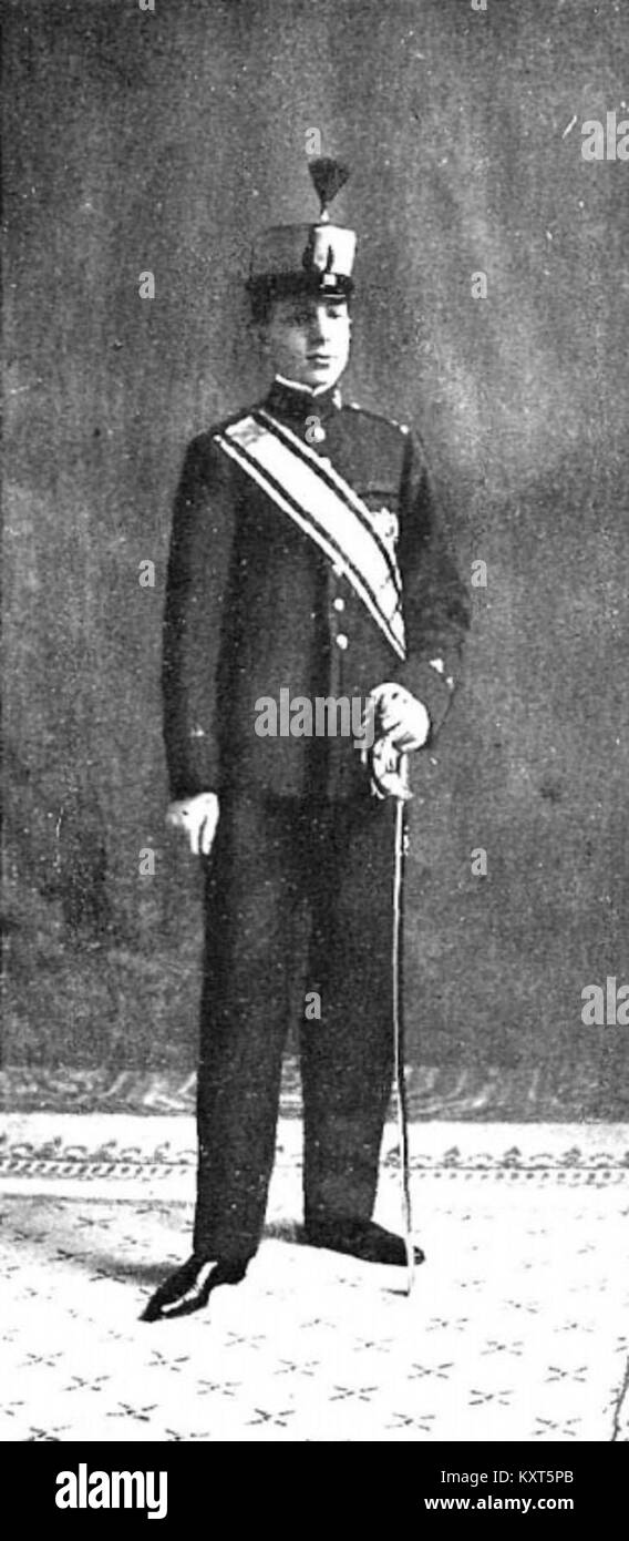 Un ritratto del 1902 di Franzen raffigurante il re che indossa l'ordine del Leone olandese, che rappresenta l'onore reale e la tradizione cavalleresca europea. Foto Stock