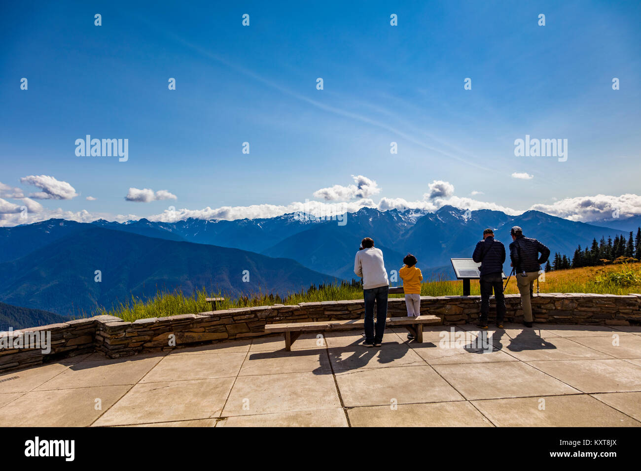 Vista da Hurricane Ridge in Oylmpic Parco Nazionale di Washington Foto Stock