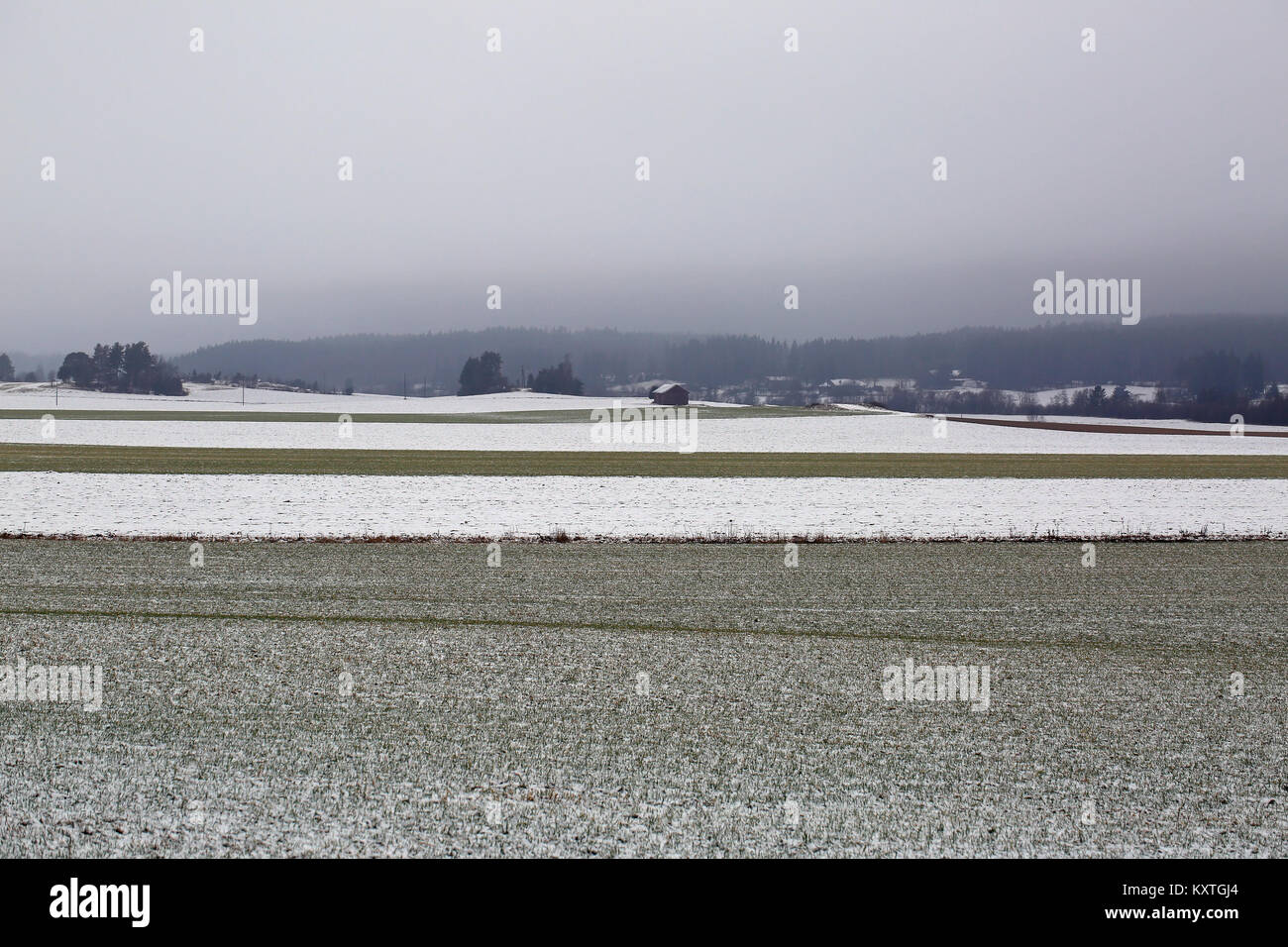 Paesaggio di campi agricoli su un nebbioso giorno d'inverno. Foto Stock