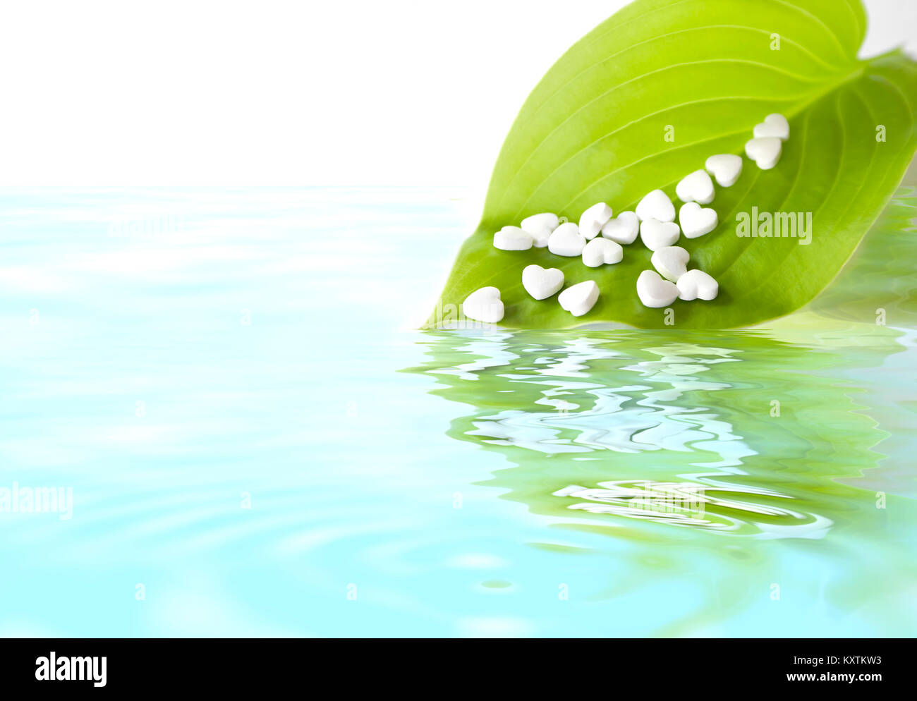 Bianco cardiologica medico pillole in forma di cuore su una foglia verde. Il farmaco per ripristinare la salute. Con spazio per il testo. Con la riflessione in acqua Foto Stock