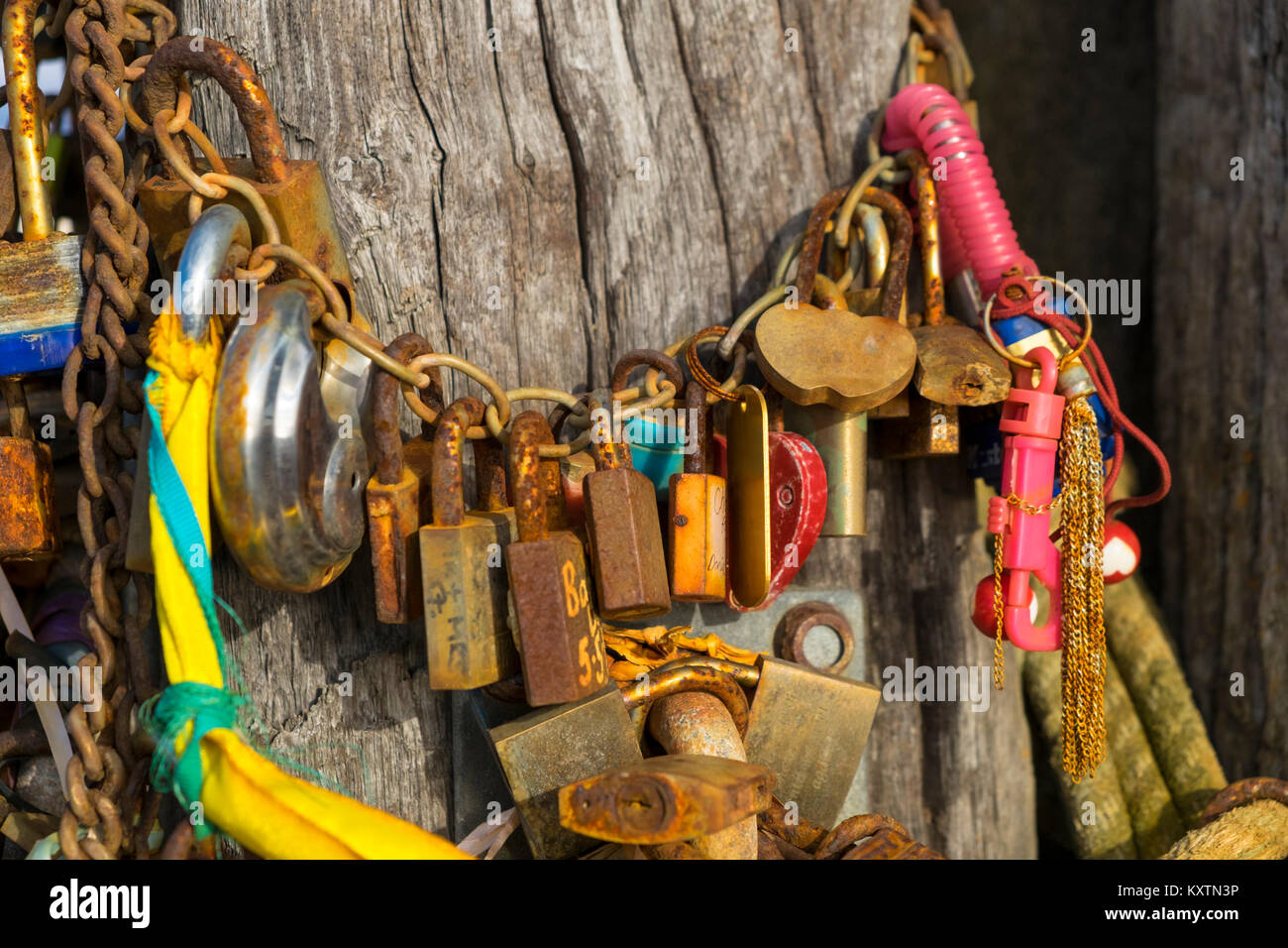 Amore blocca incatenati intorno ad un albero come simbolo di amore, Hastings EAST SUSSEX REGNO UNITO Foto Stock