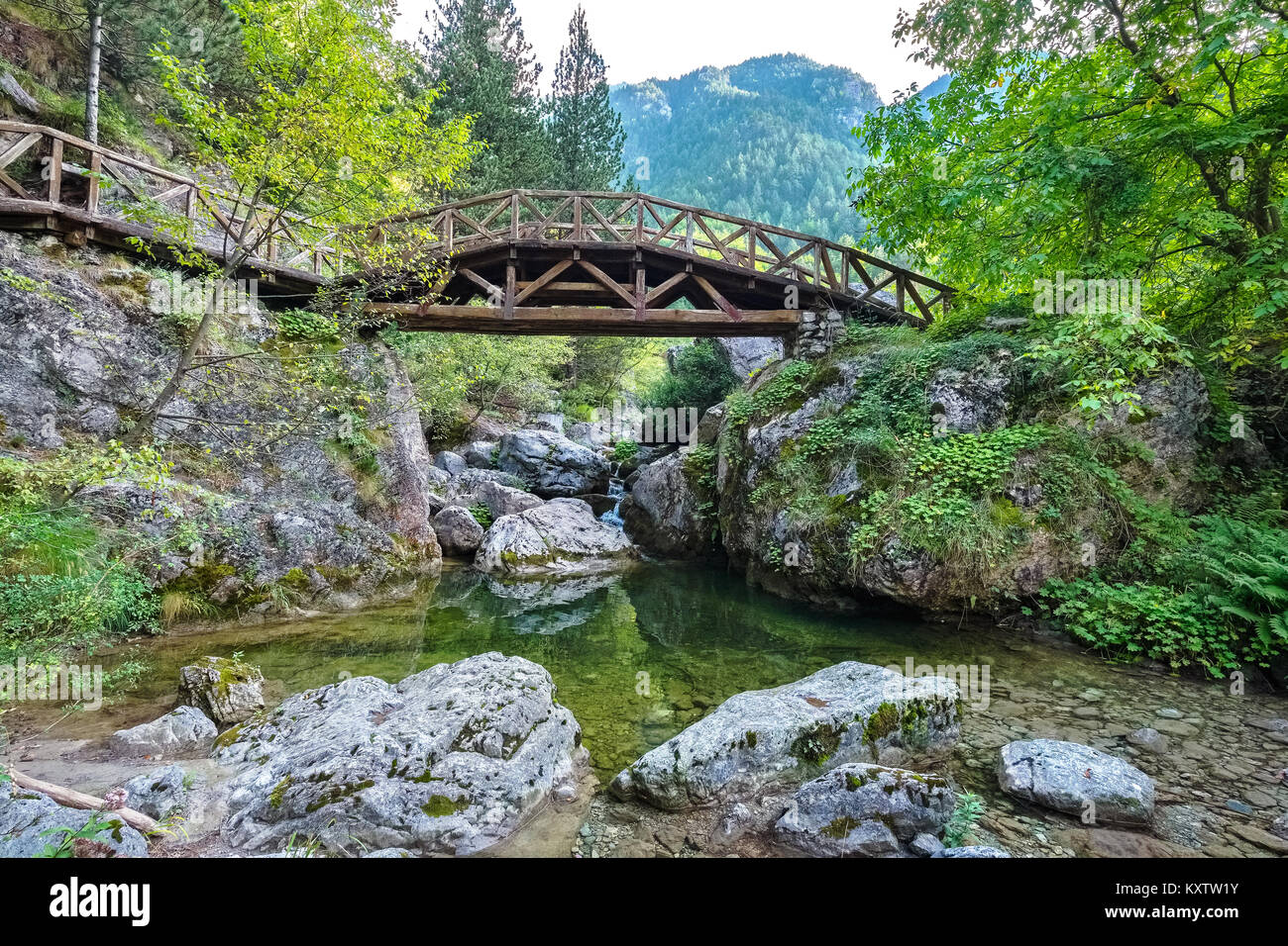 Ponte di legno su un fiume nelle montagne di Olympus. Prionia, Grecia Foto Stock