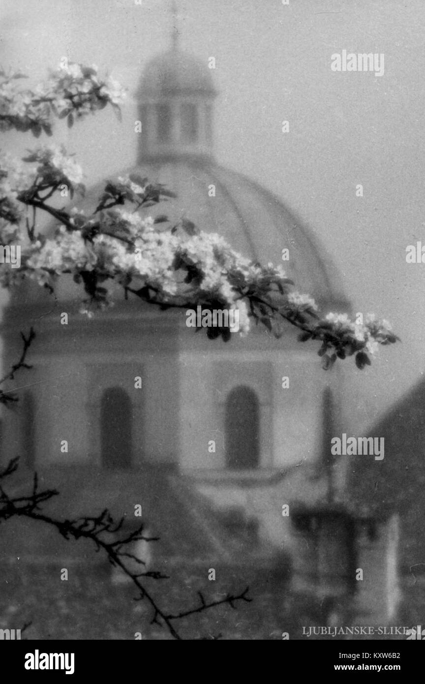 In questa fotografia di Fran Krasovec scattata in Slovenia in primavera, il verde fresco copre un prato collinare punteggiato di fiori selvatici, mentre la luce dolce e il cielo pastello evidenziano il rinnovamento del paesaggio e l'interesse del fotografo per i ritmi stagionali della natura. Foto Stock