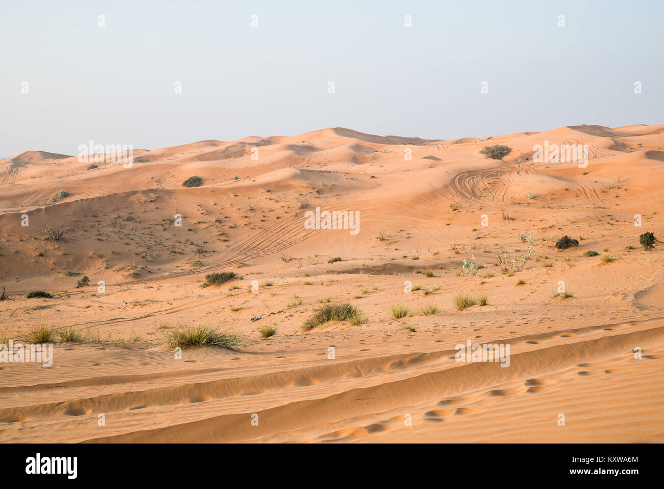 Rub Al Khali desert, Fujairah, Emirati Arabi Uniti Foto Stock