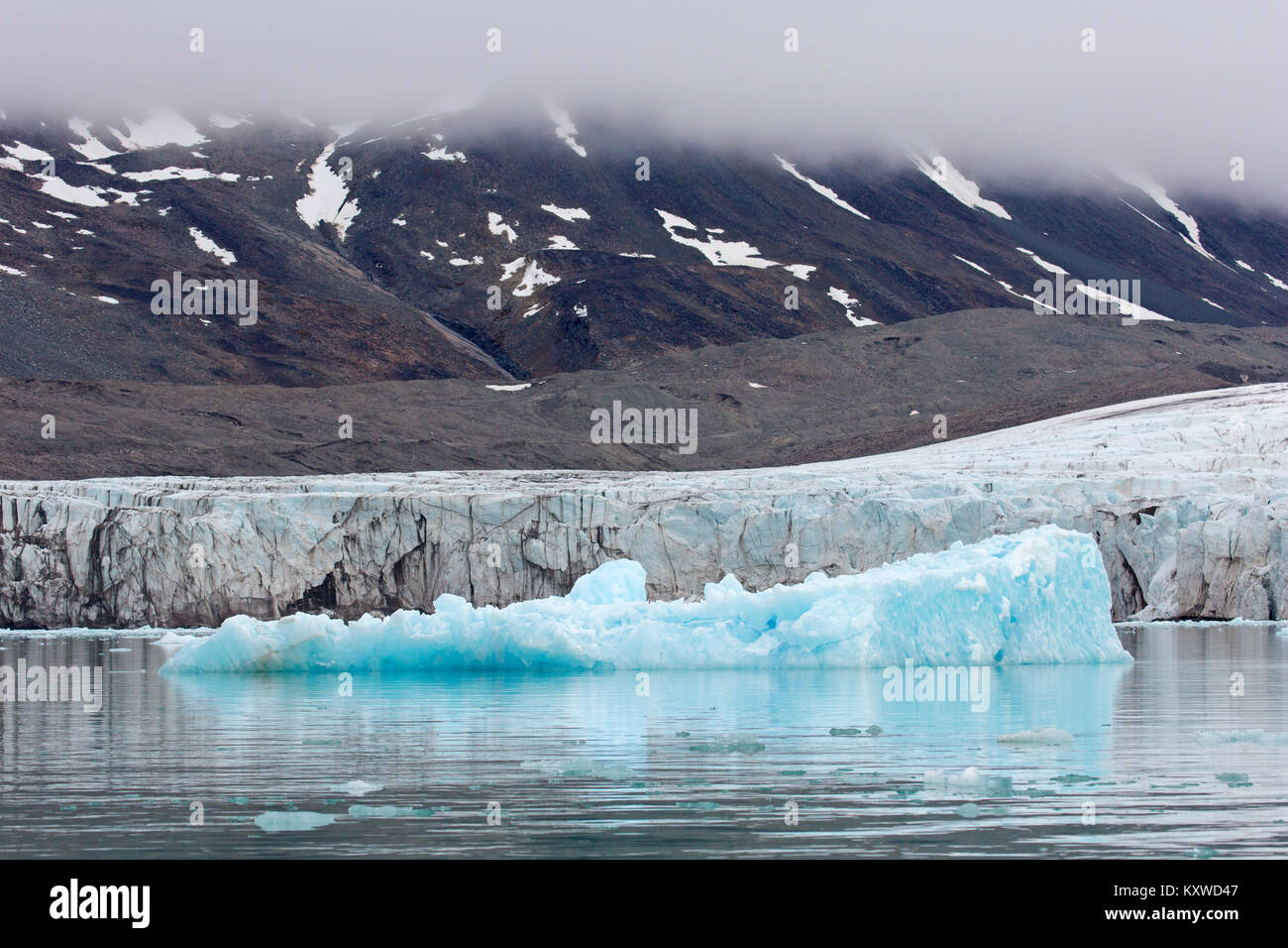 Glaçon davanti Monacobreen, ghiacciaio Haakon VII Terra che sfocia nella Liefdefjorden, Spitsbergen / Svalbard Foto Stock