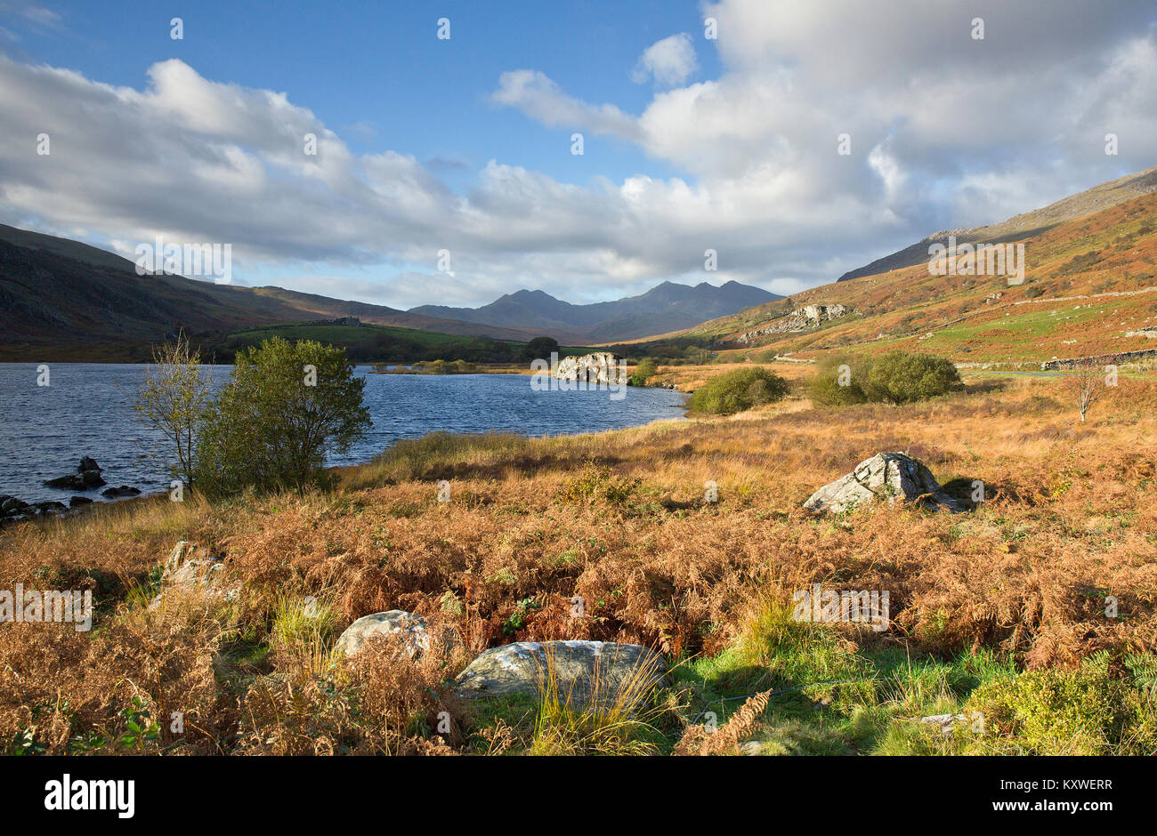 Foto di Llyn Mymbyr in autunno e montagne circostanti nel Parco Nazionale di Snowdonia Gwynedd Galles del Nord Regno Unito Europa Foto Stock