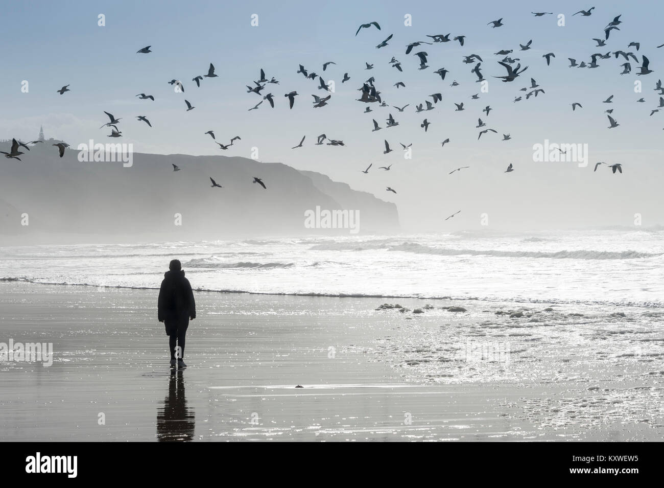 Persona che cammina lungo una spiaggia deseted con un Flock of Seagulls volare al di sopra Foto Stock