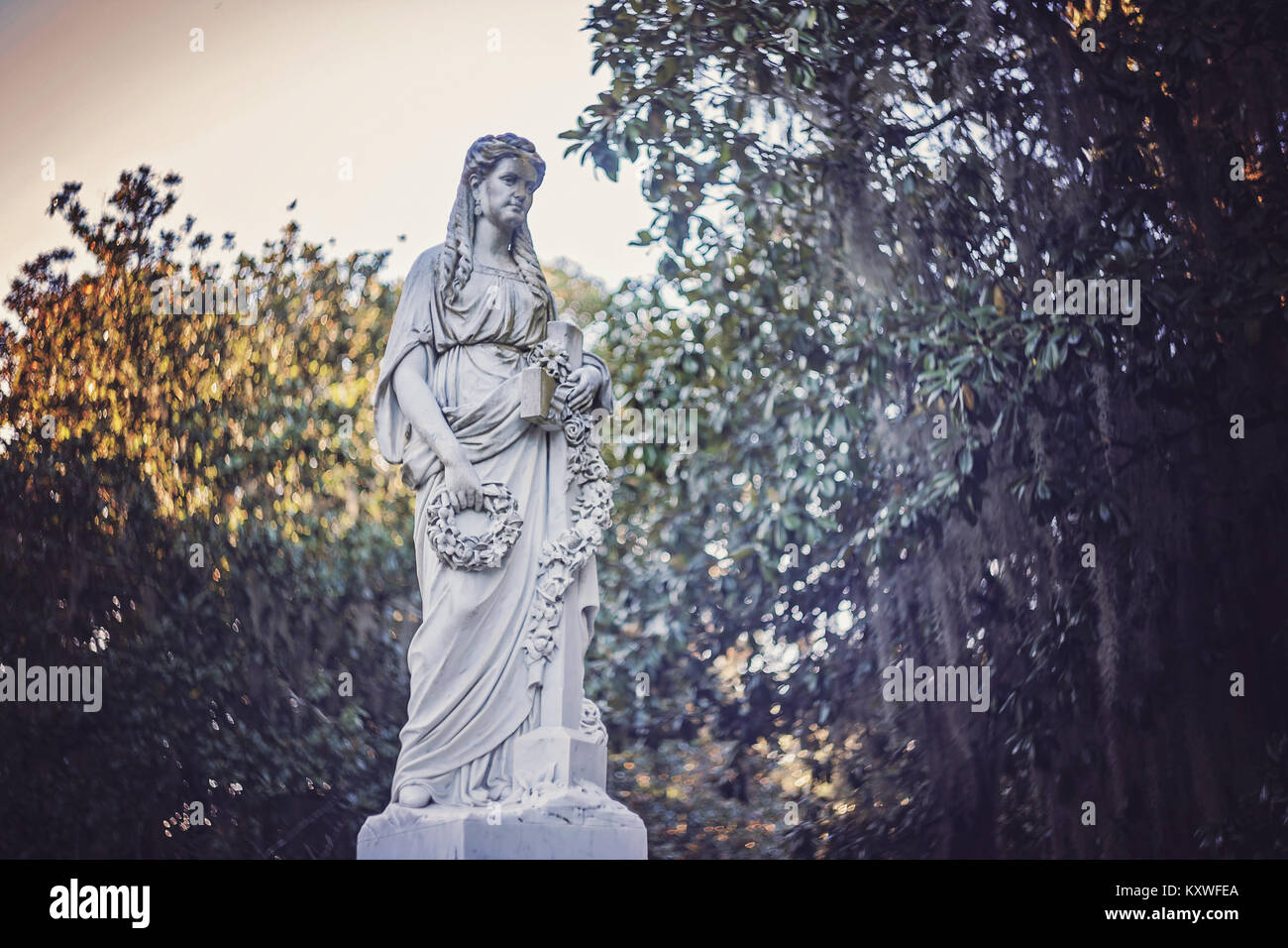 Live Oak Memorial Angelo Foto Stock