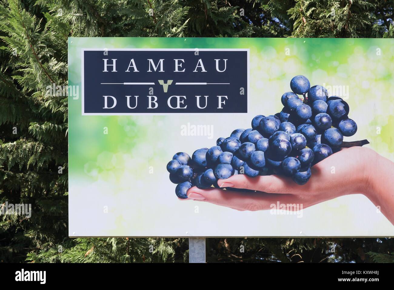 Romaneche, Francia - 5 Ottobre 2017: Billboard del Museo Hameau du vin da Georges Duboeuf nel Beaujolais, Francia Foto Stock