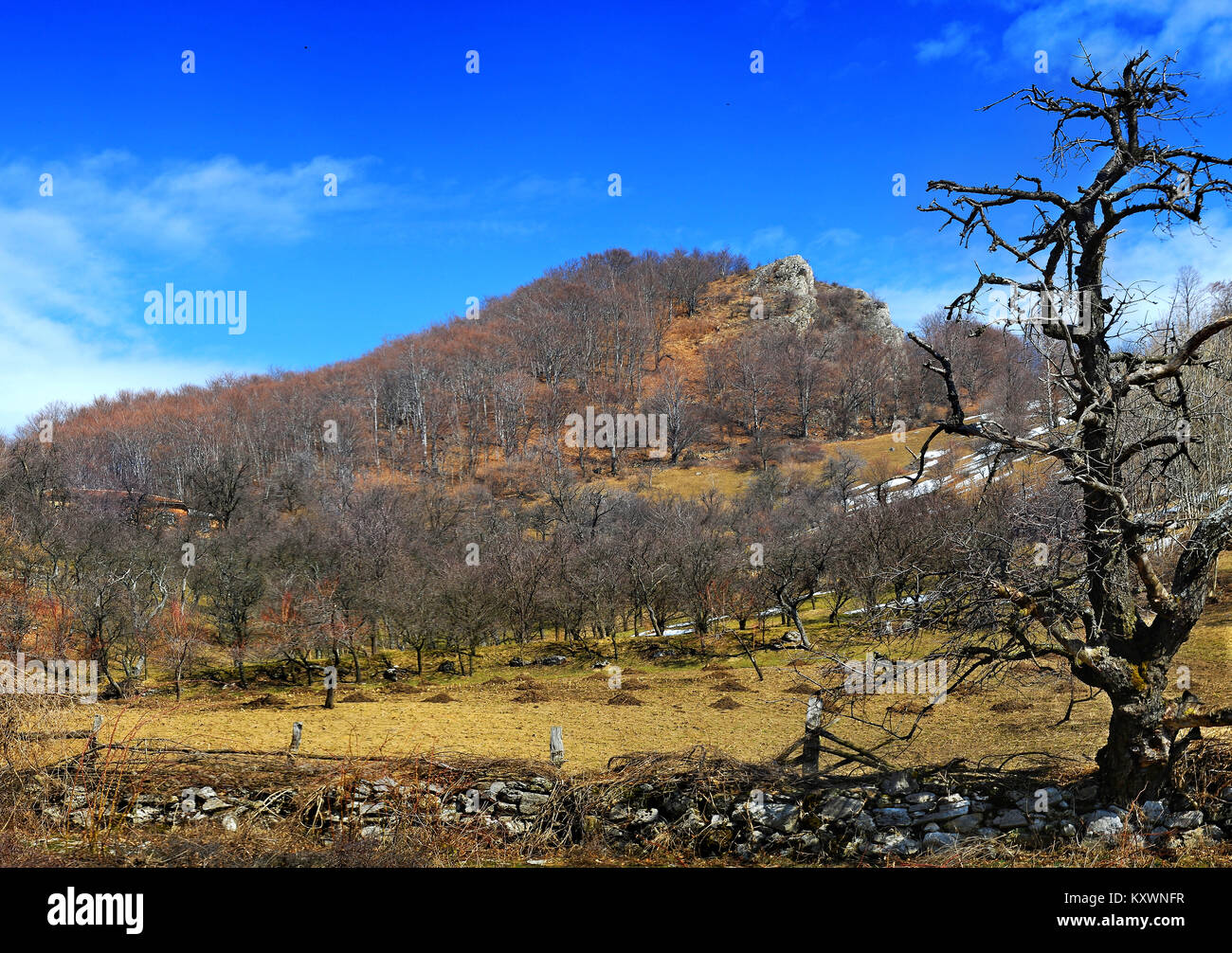 Panorama da Cerna Valley National Park, Romania Foto Stock