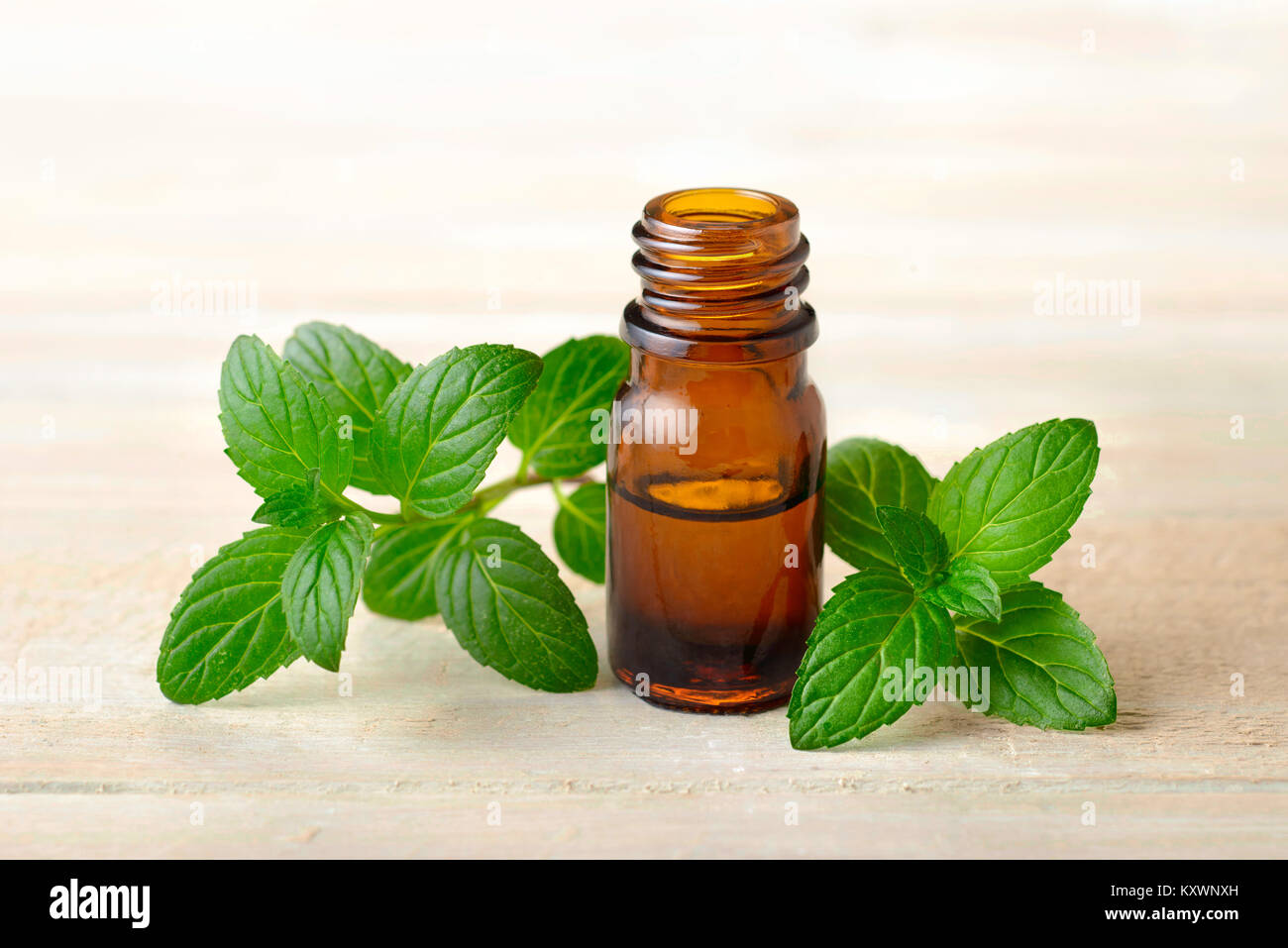 Fresche foglie di menta piperita e menta piperita olio essenziale nel flacone di vetro ambrato Foto Stock